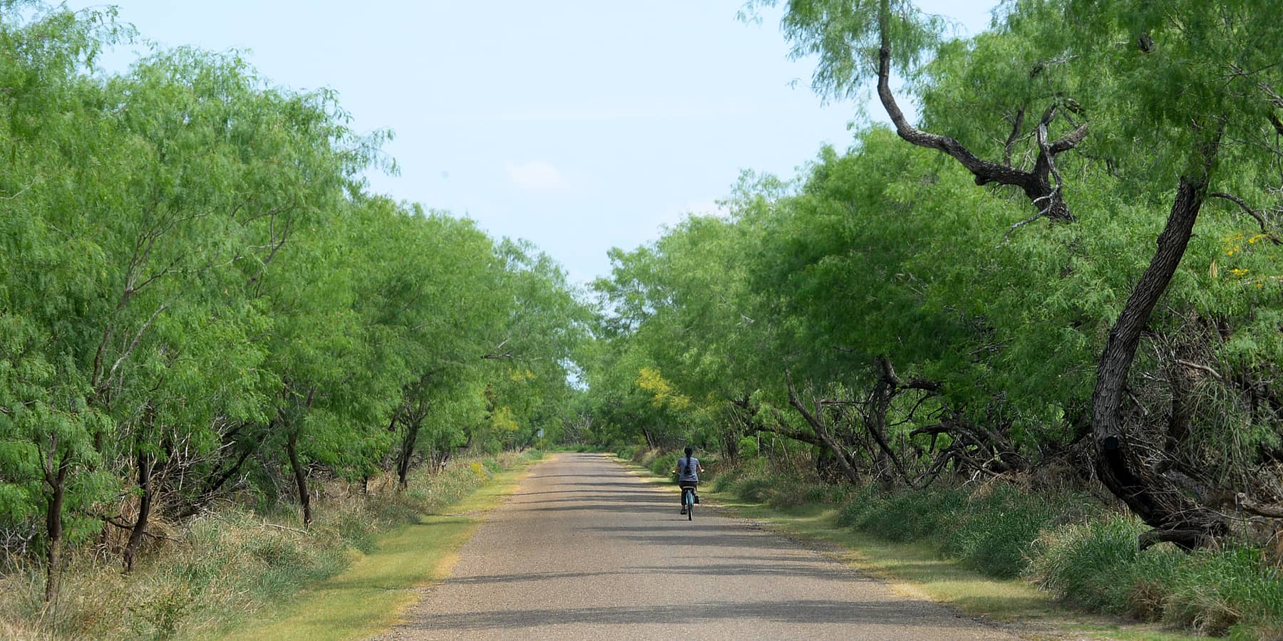 Scenic Walking Paths