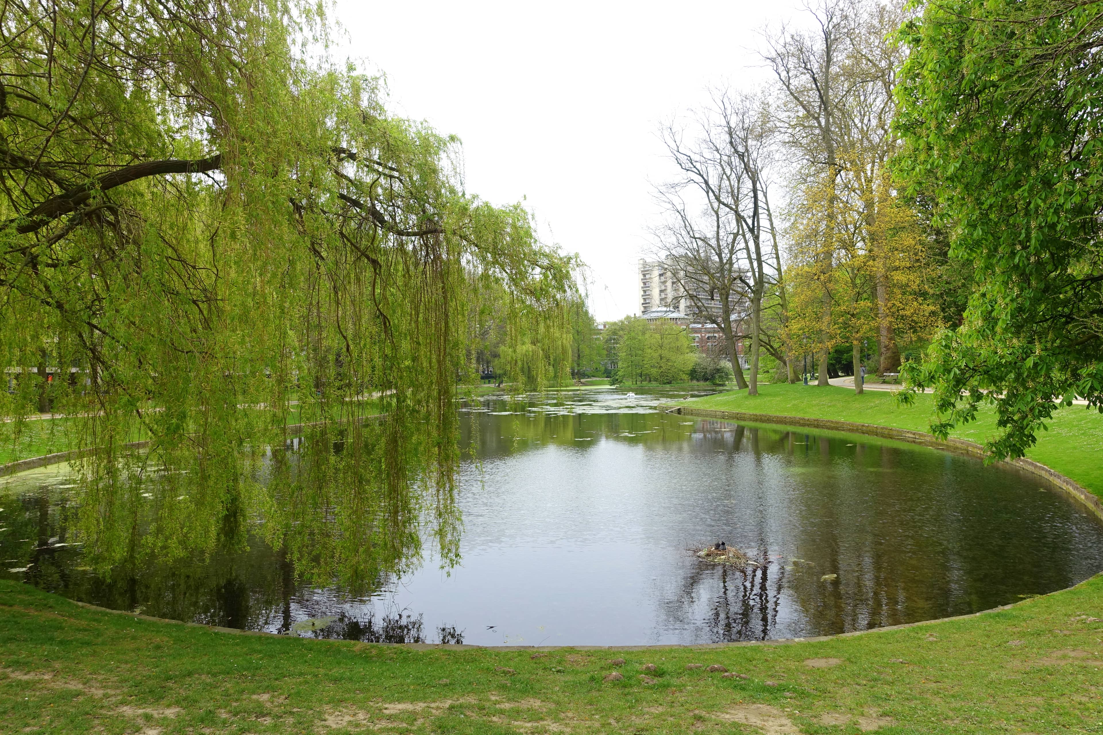 Tranquil Lake and Mature Trees