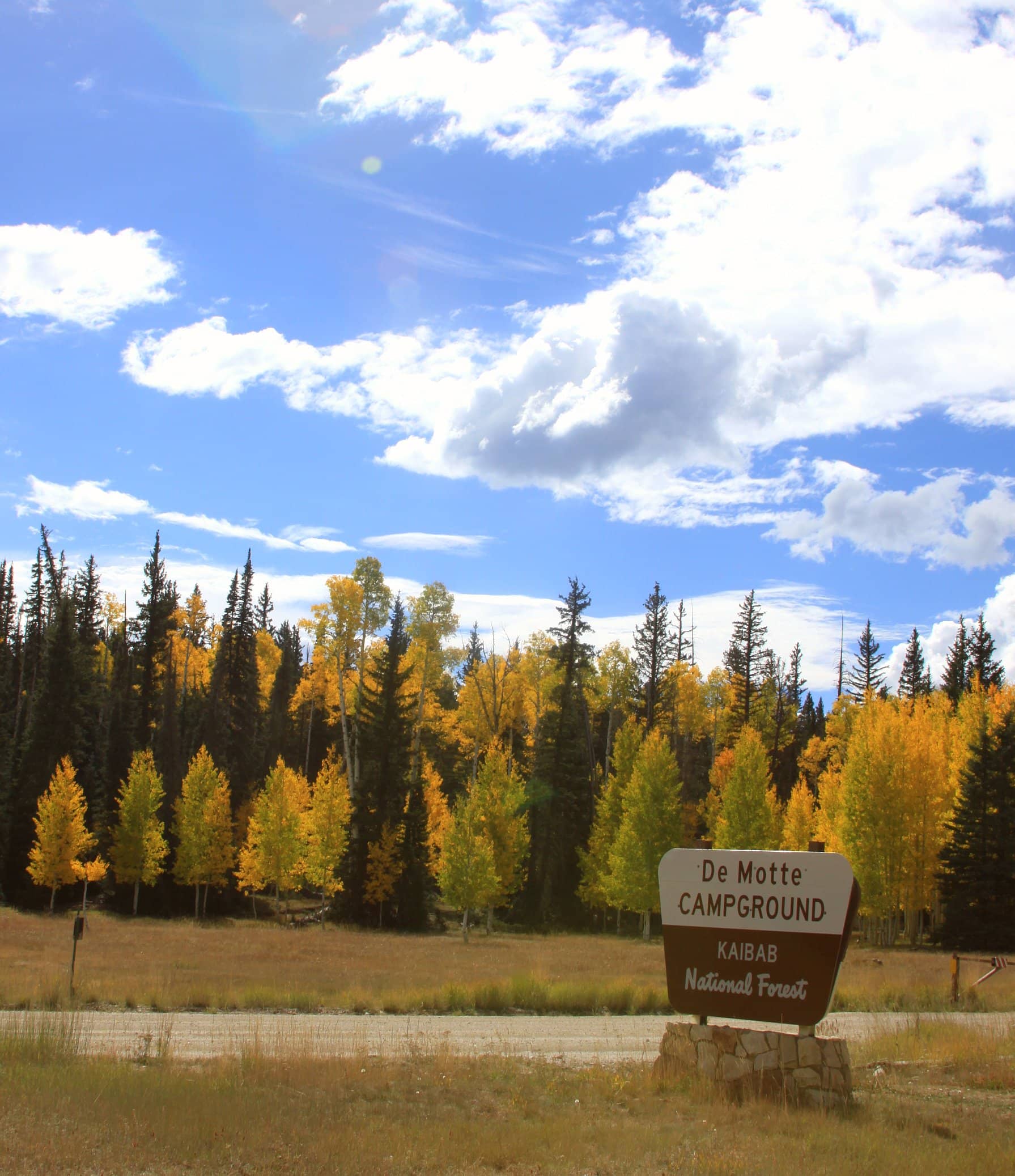Kaibab National Forest Exploration