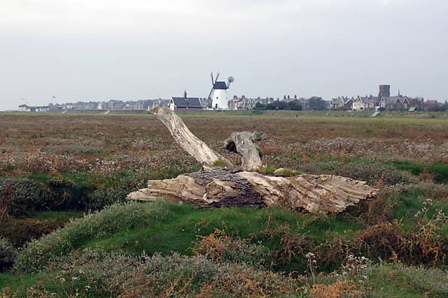 Panoramic Coastal Views