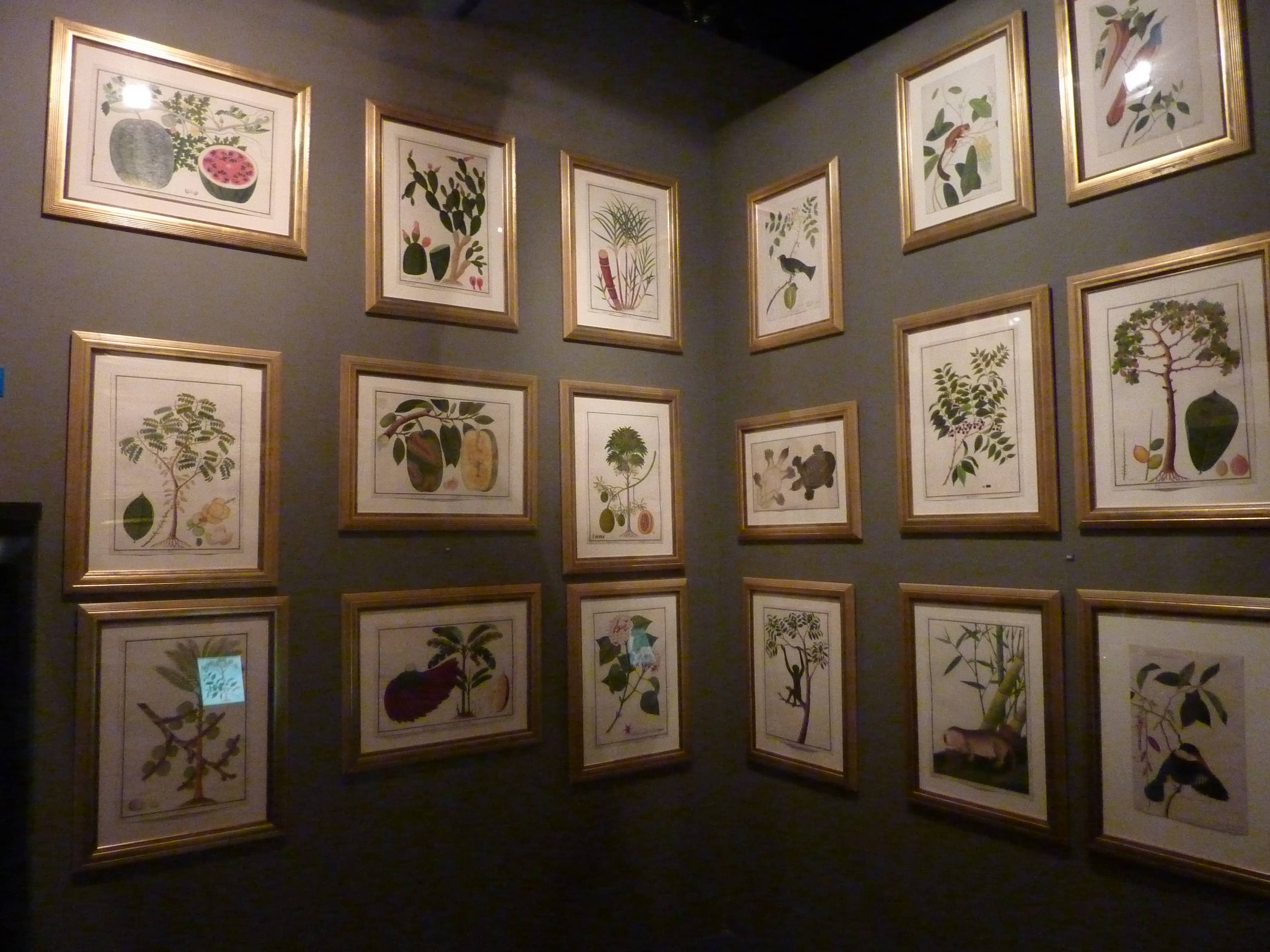 History of Singapore Galleries