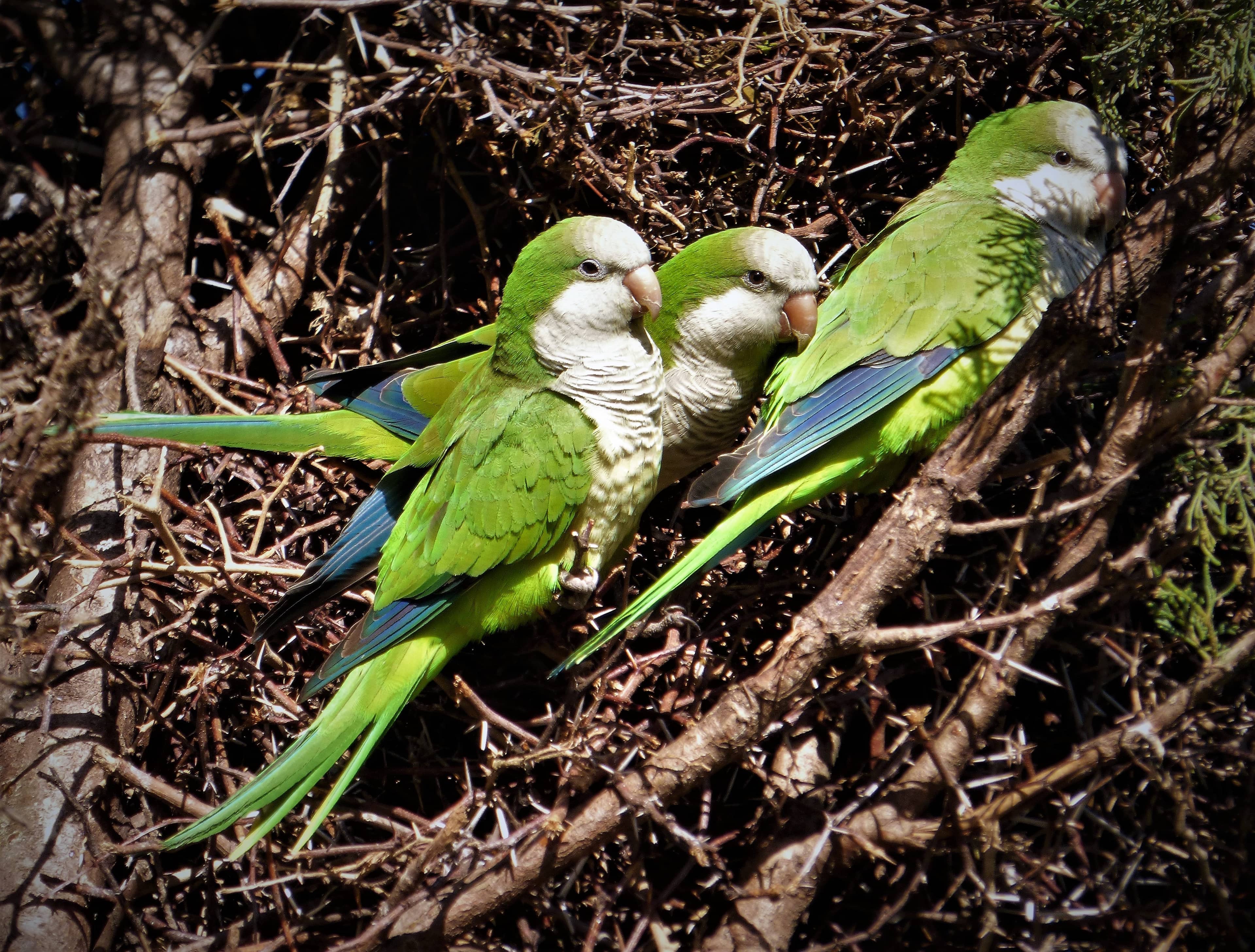 Marine Life & Bird Exhibits