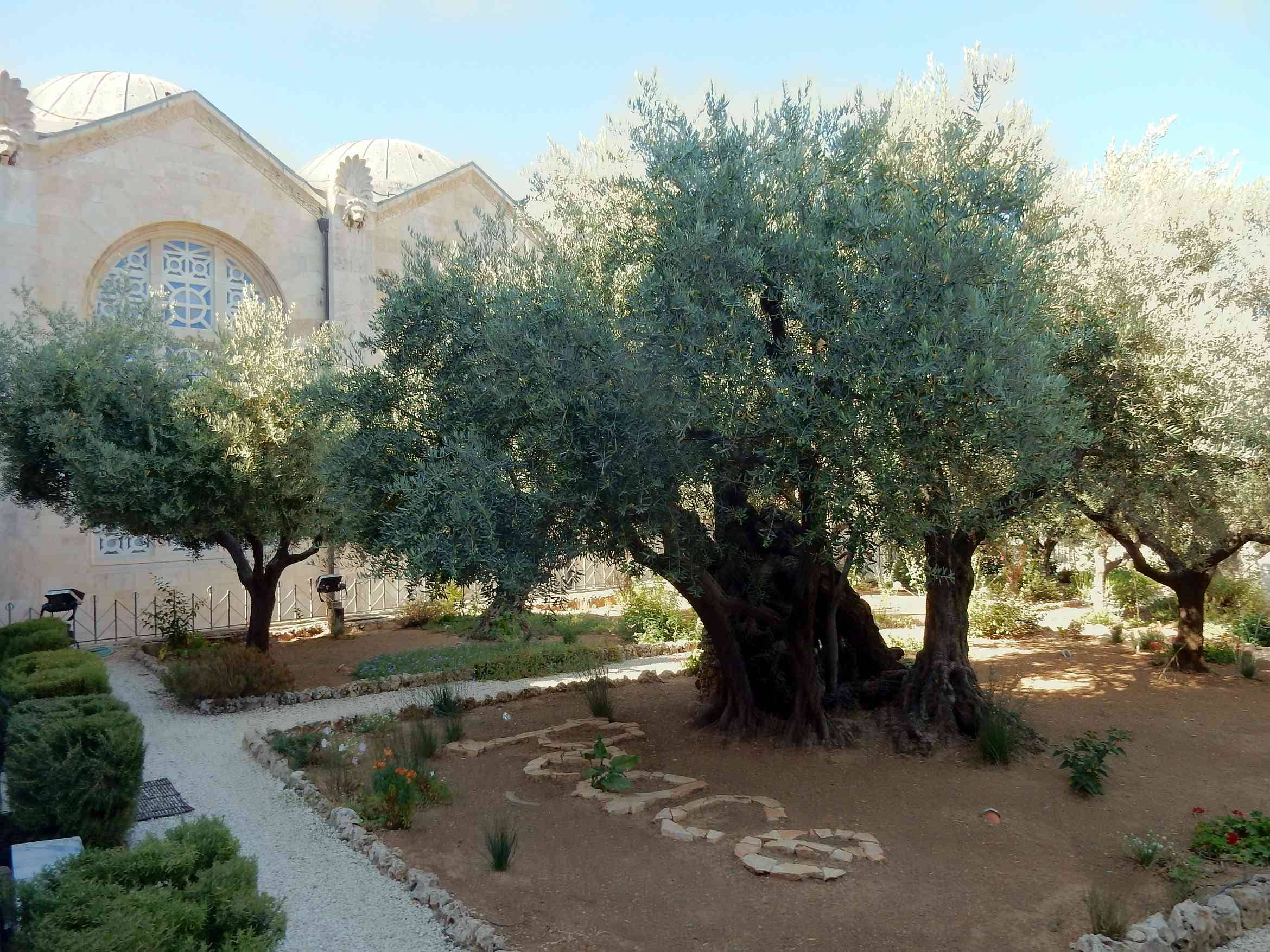 Gethsemane Garden