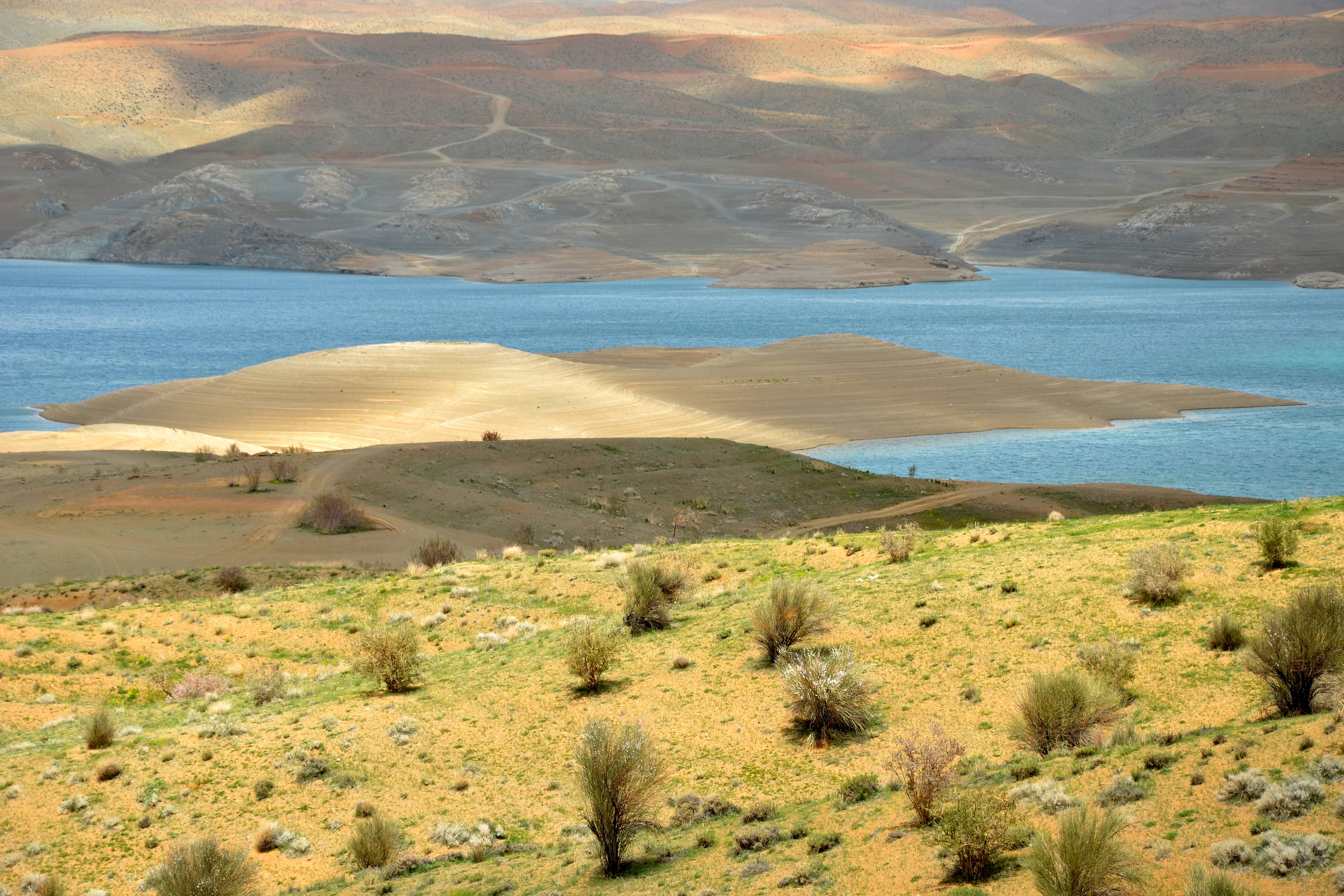 Chadegan Lake Serenity