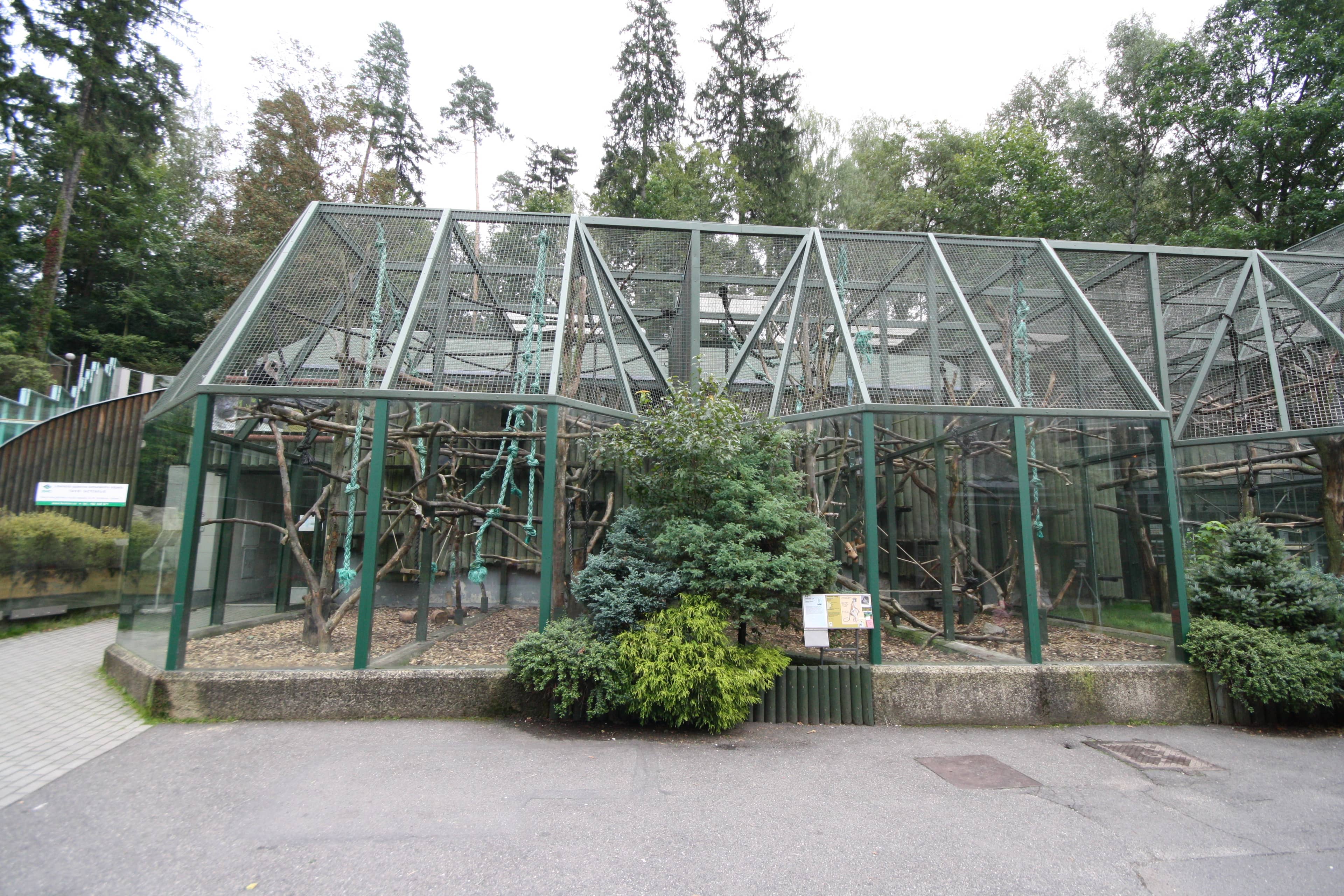 Aviary Exploration