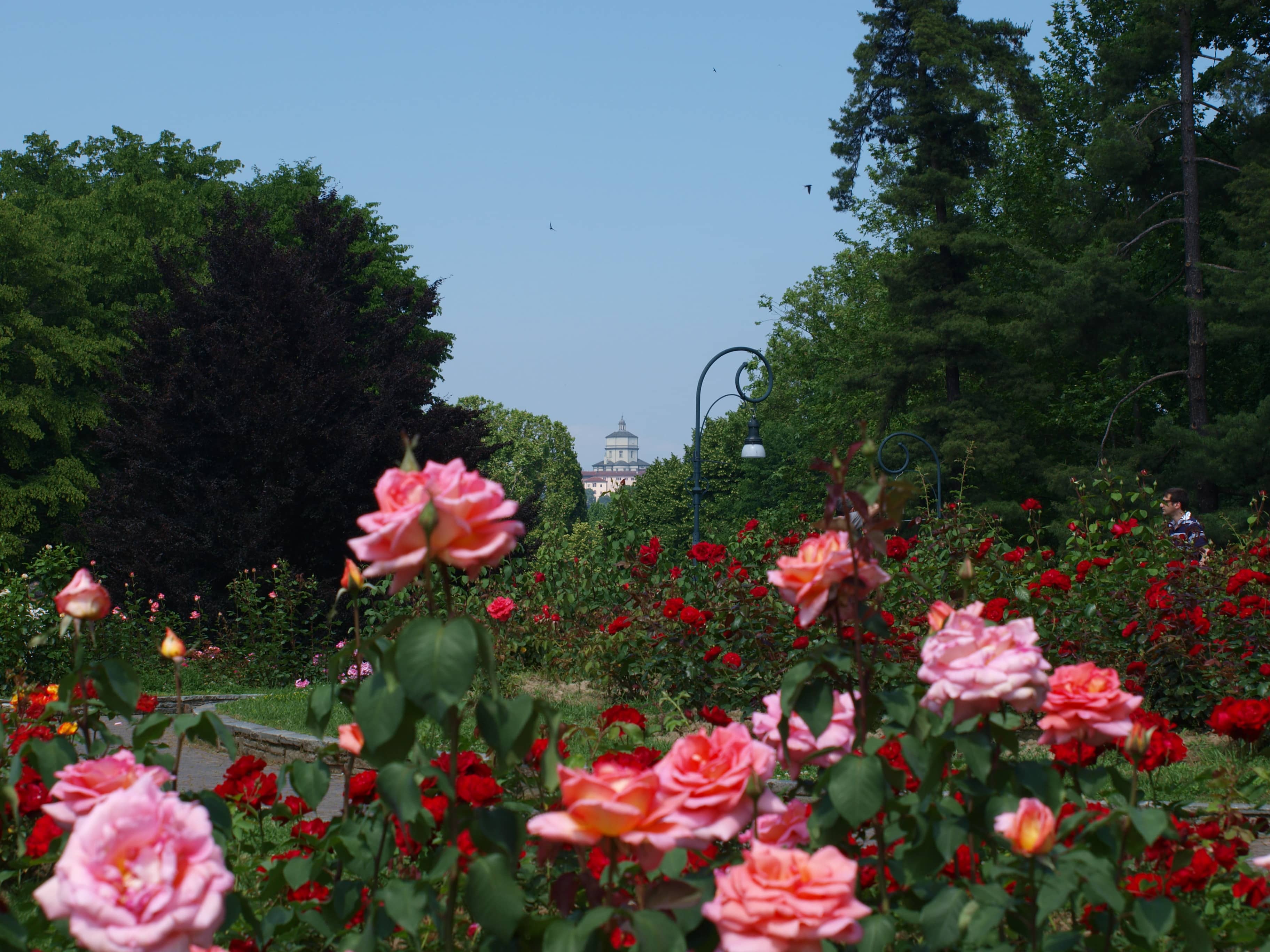 Parco del Valentino Gardens