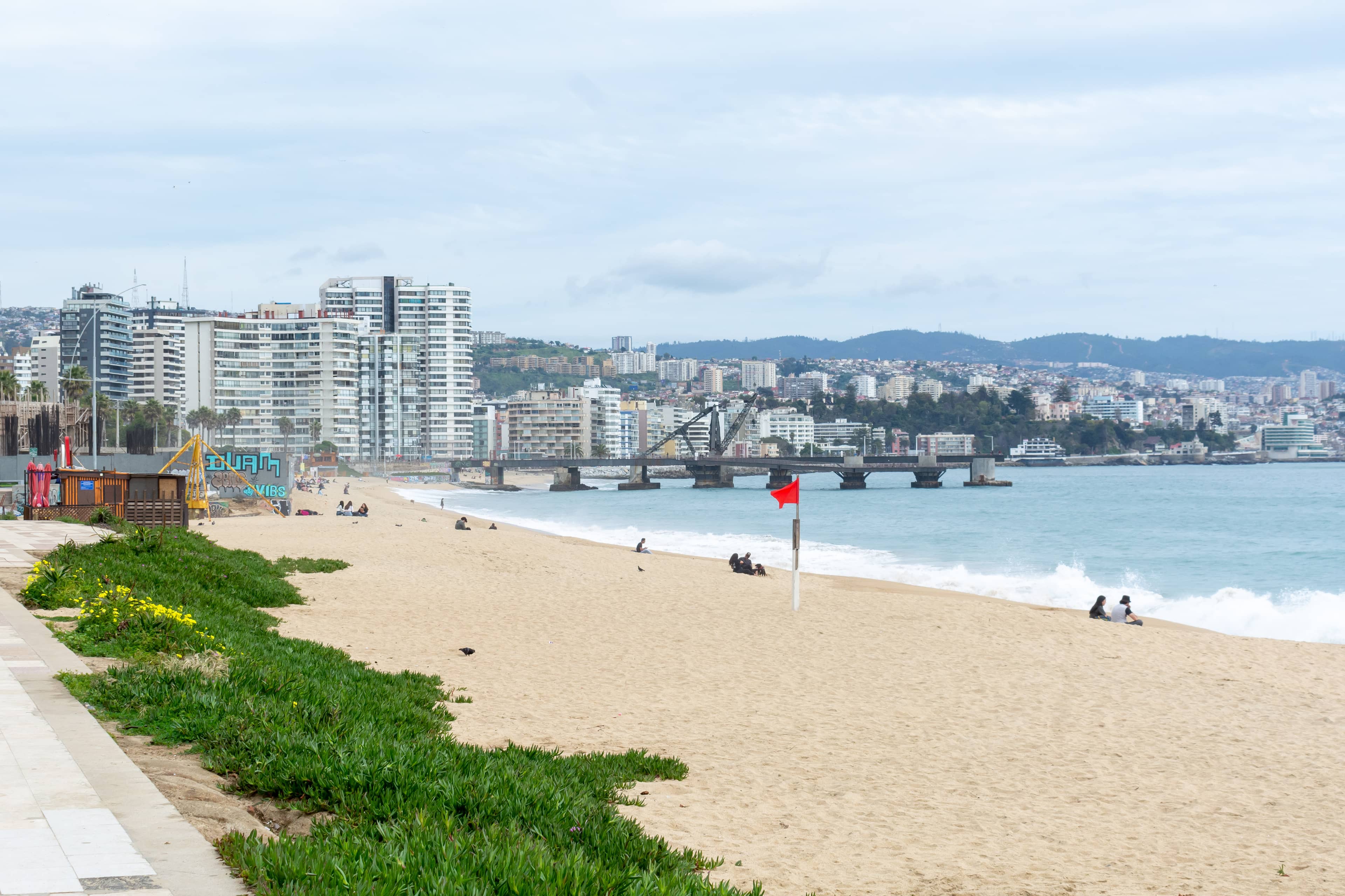 Viña del Mar Beaches