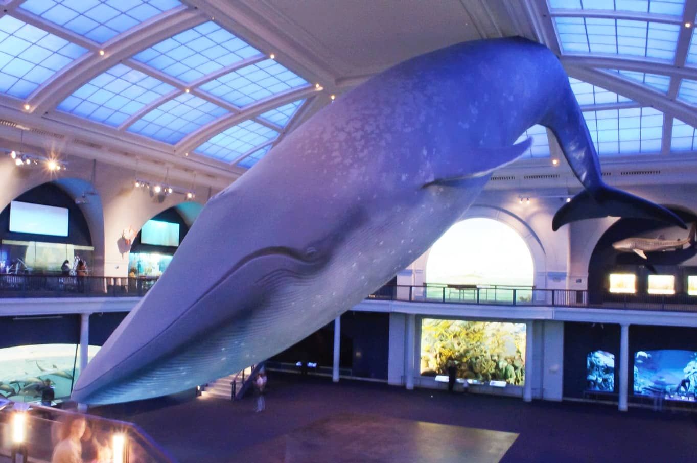 Live Animal Exhibits