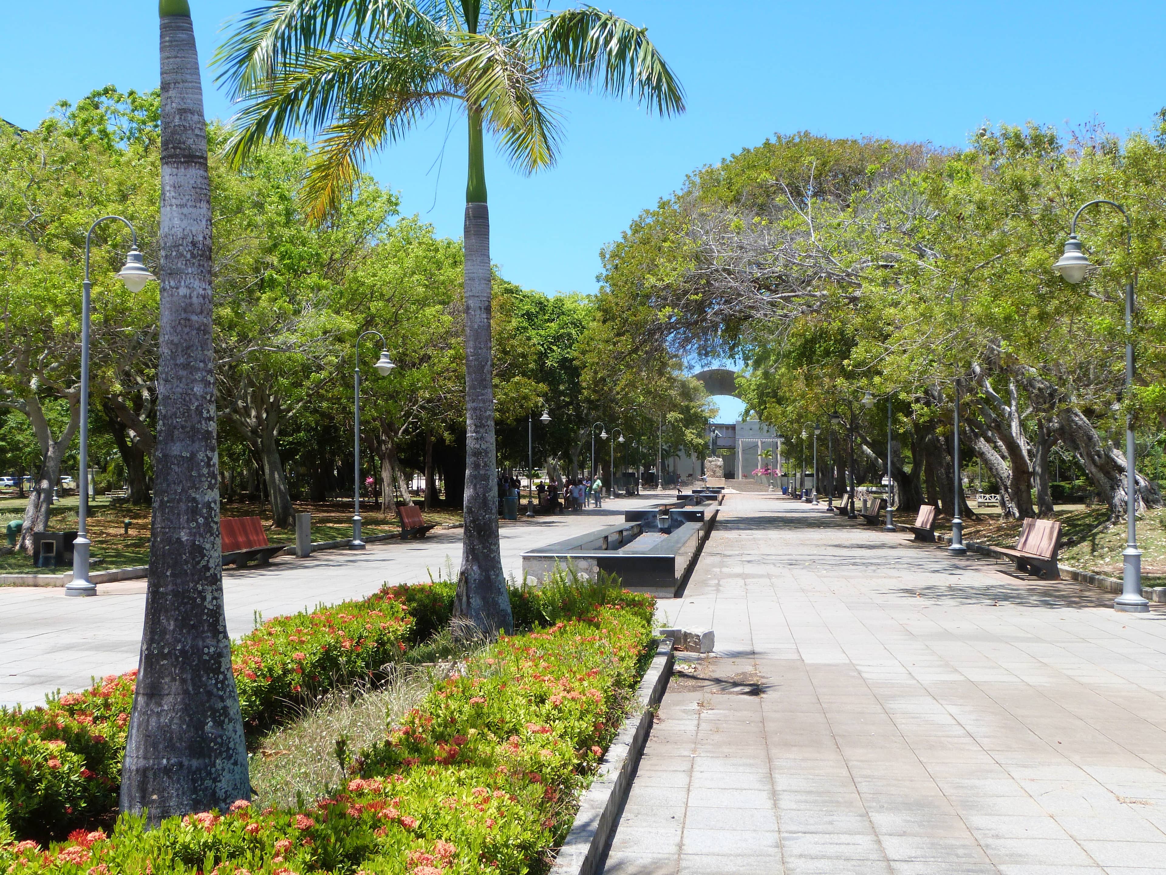 Tropical Vegetation