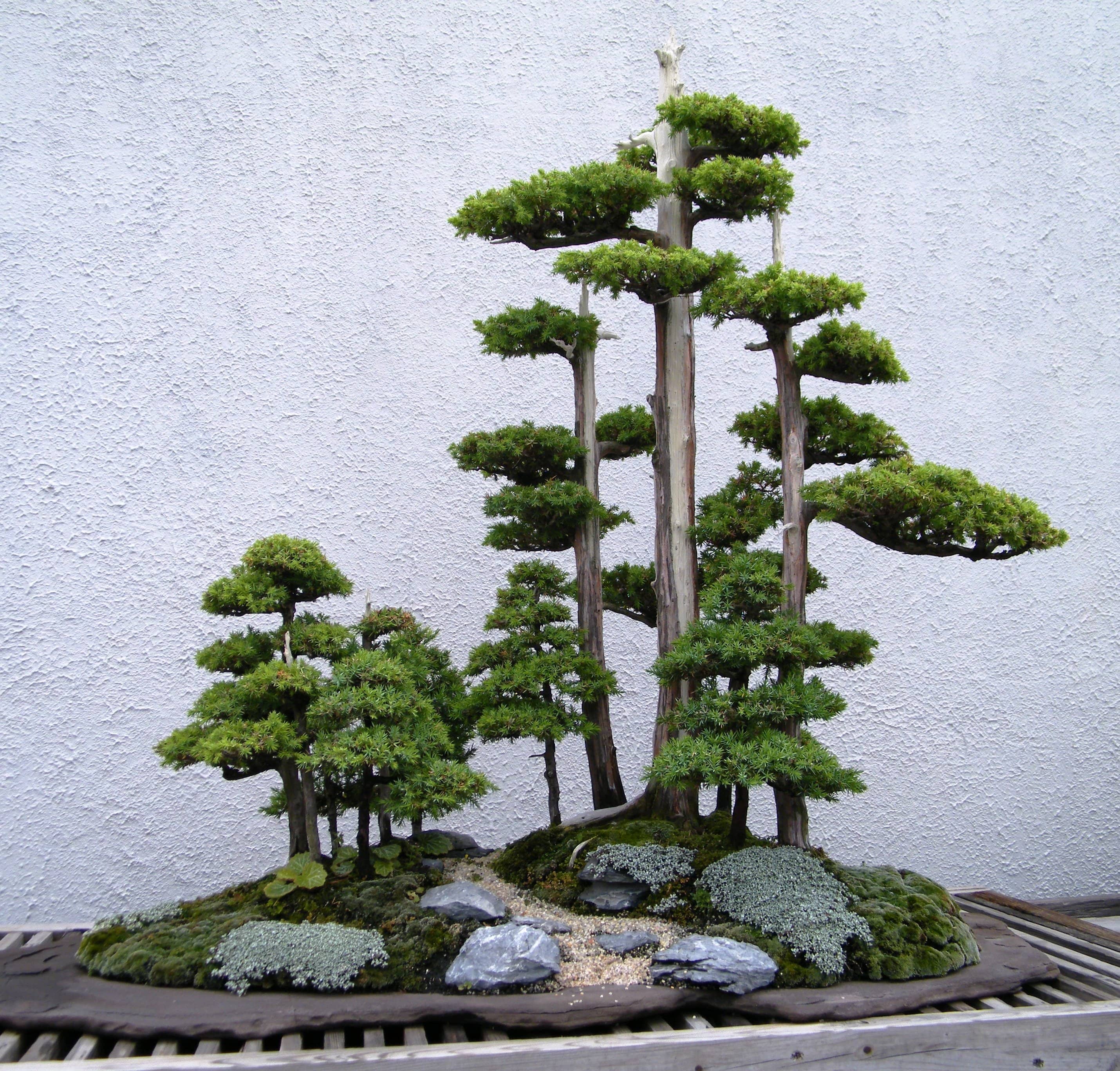 Penjing Artistry