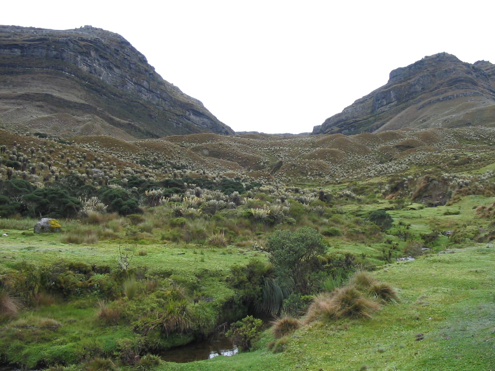 Vast Heathlands