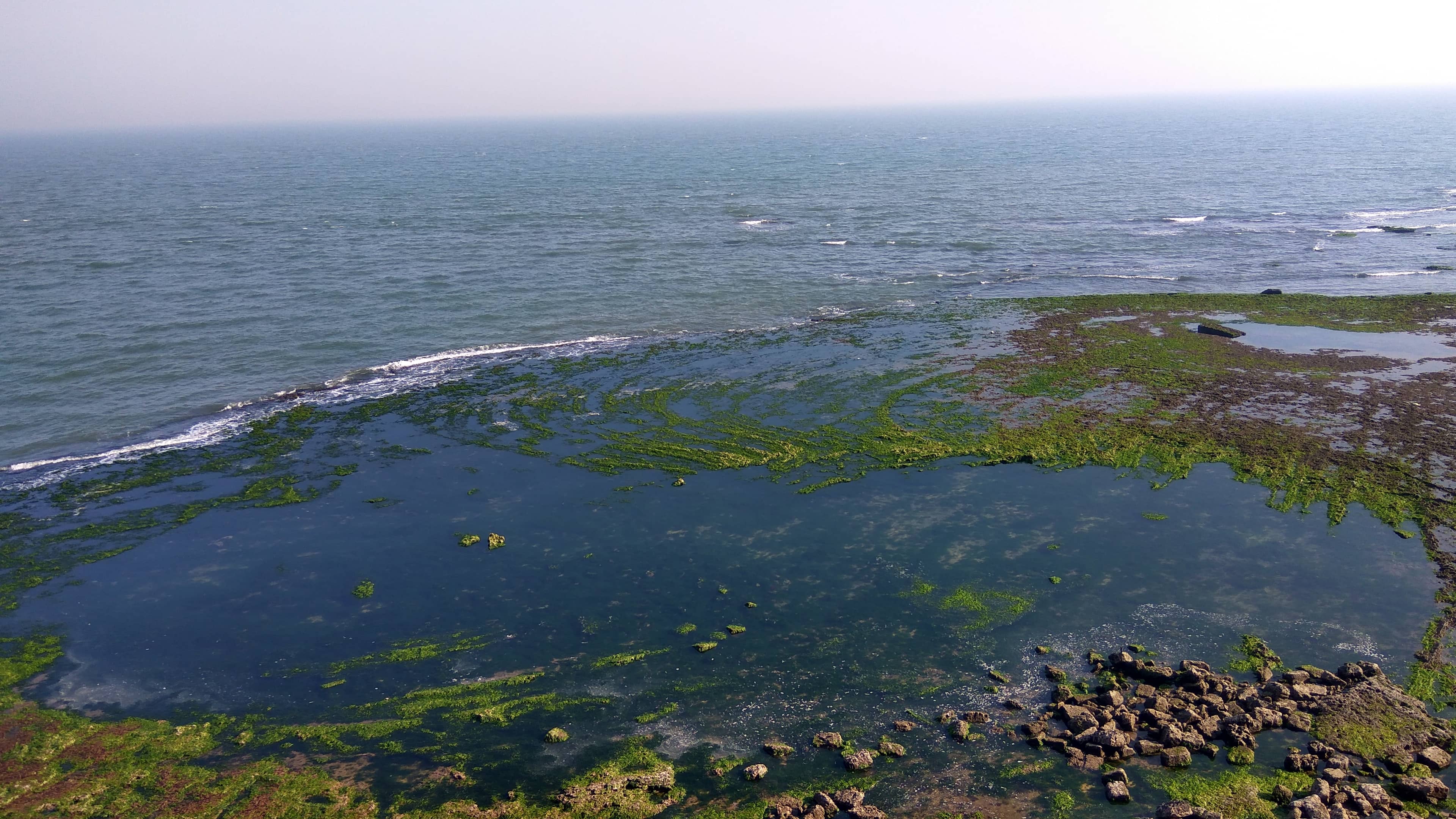 Arabian Sea Vistas