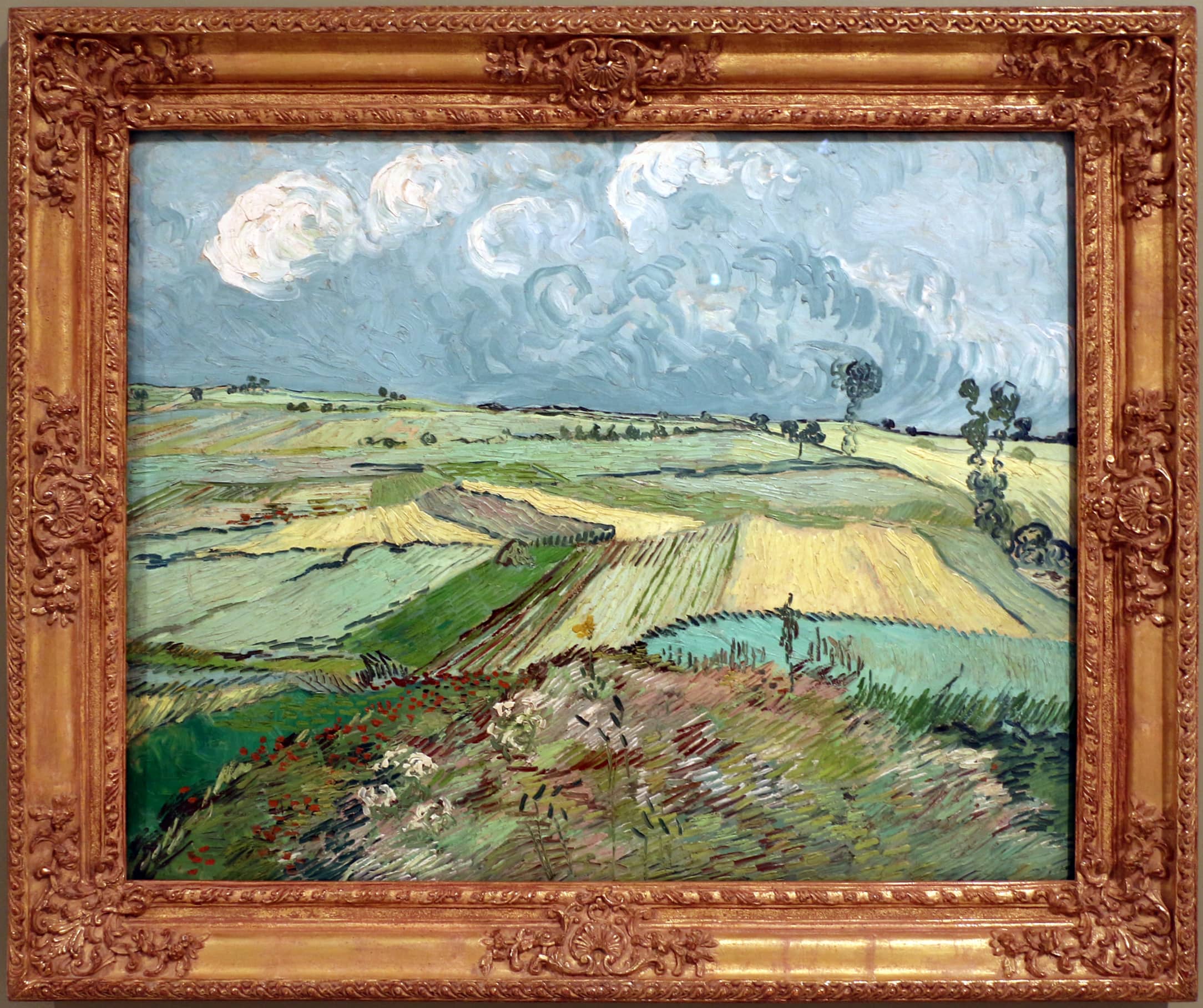 Van Gogh's Wheat Fields