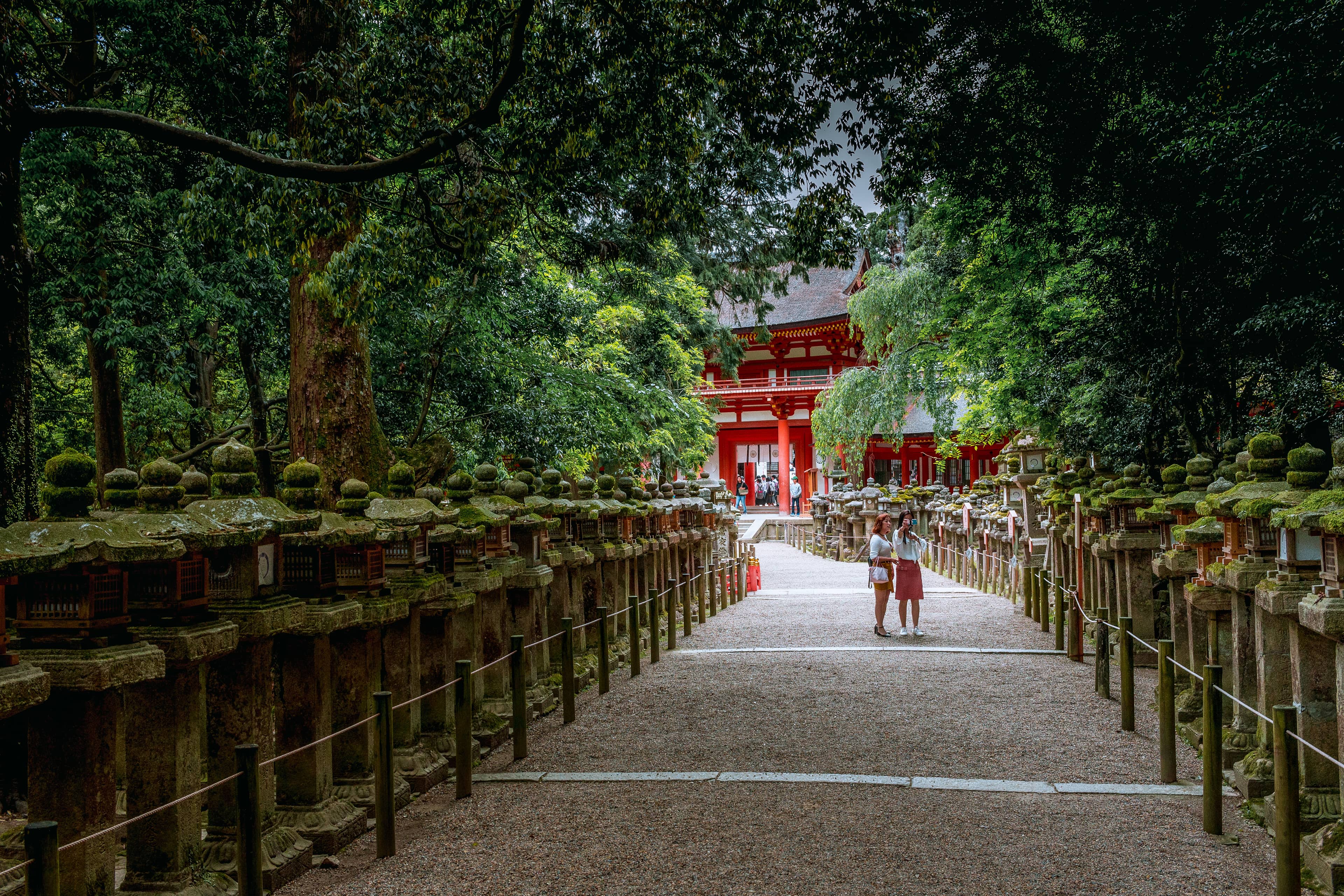 Kasuga Taisha Shrine