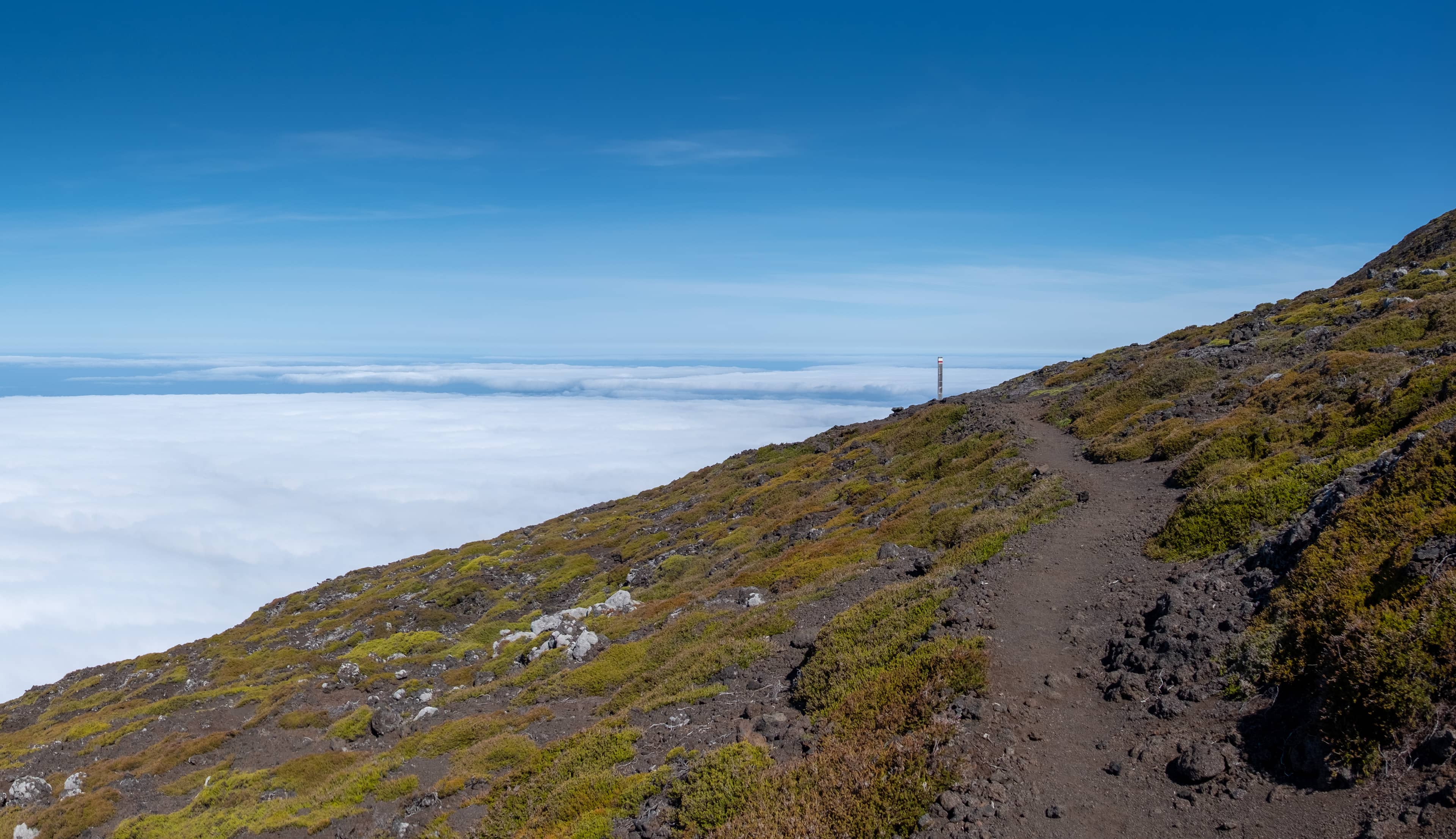 Summit Ascent