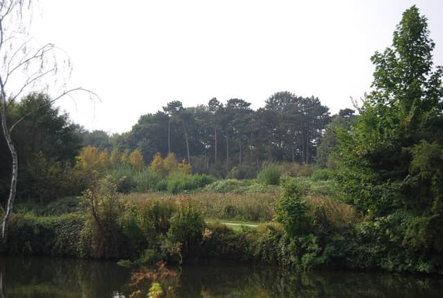 River Medway Views