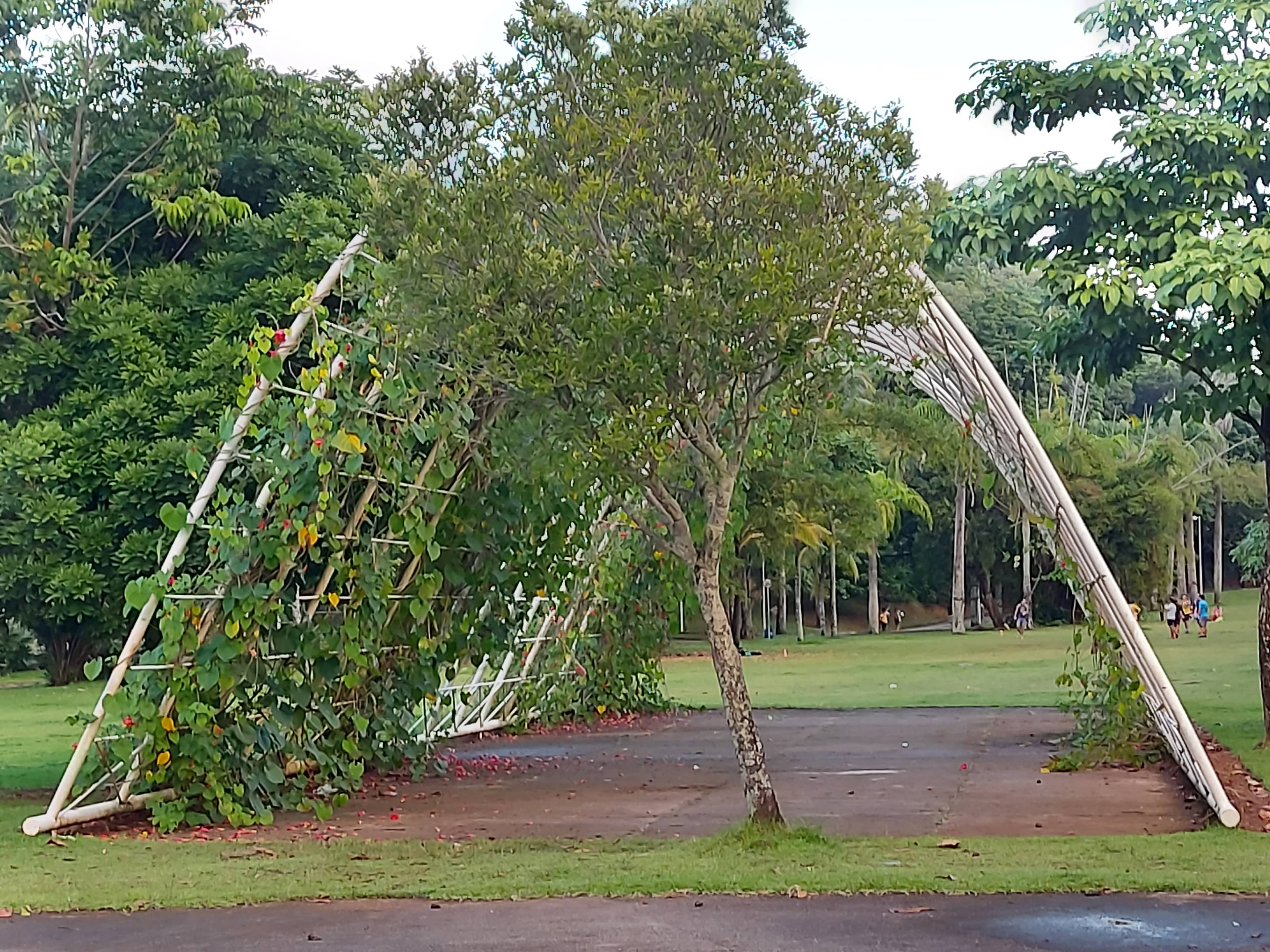 Family Fun Zones