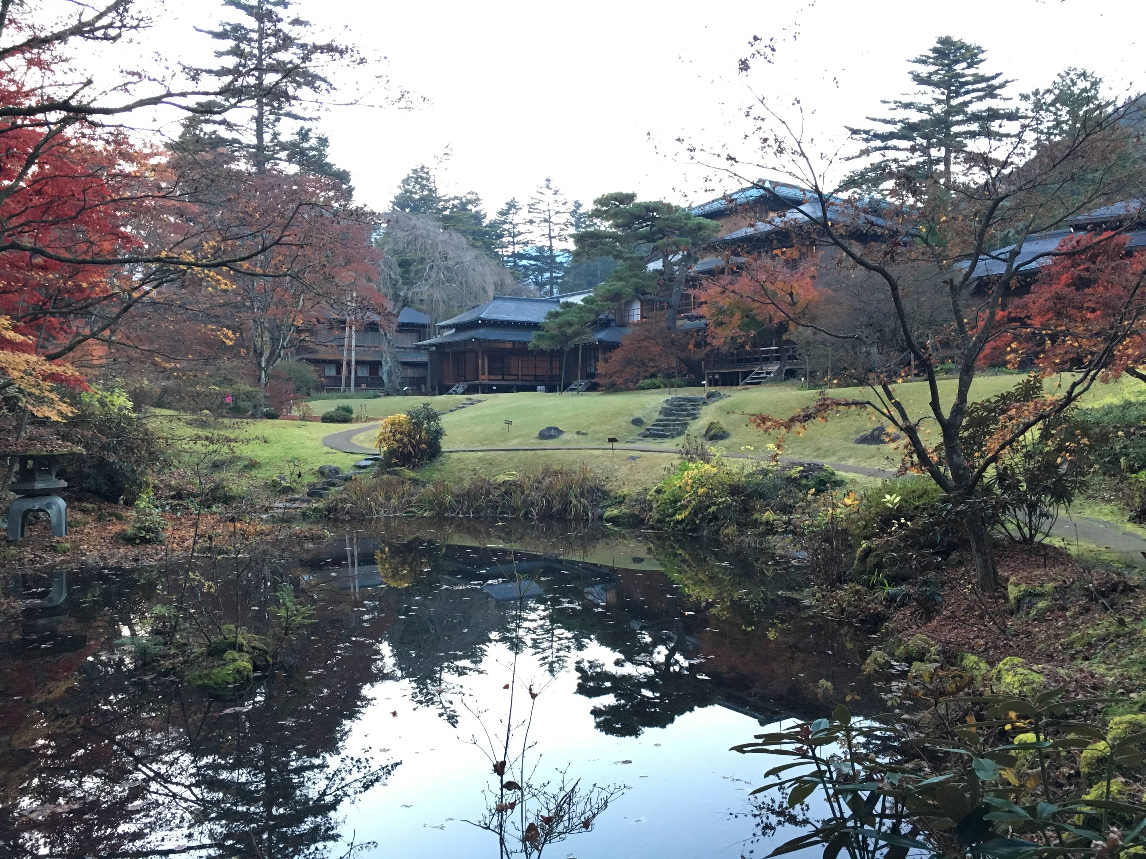 Tranquil Garden Stroll
