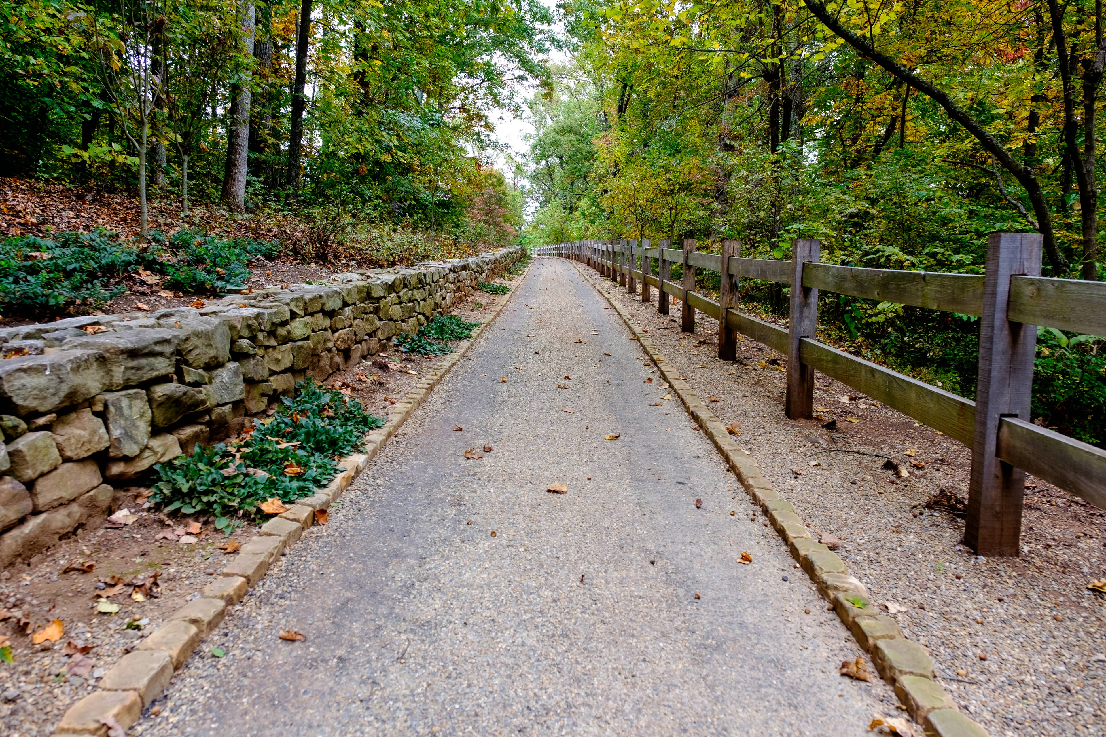 Varied Walking Trails