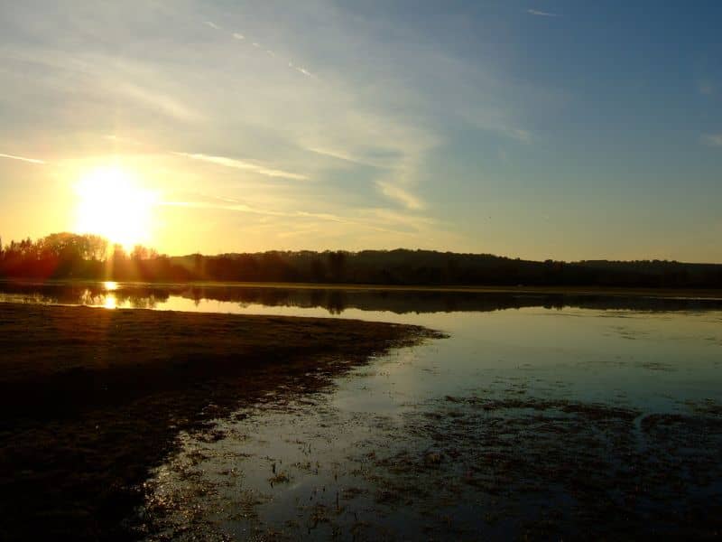 Sunset Spectacles