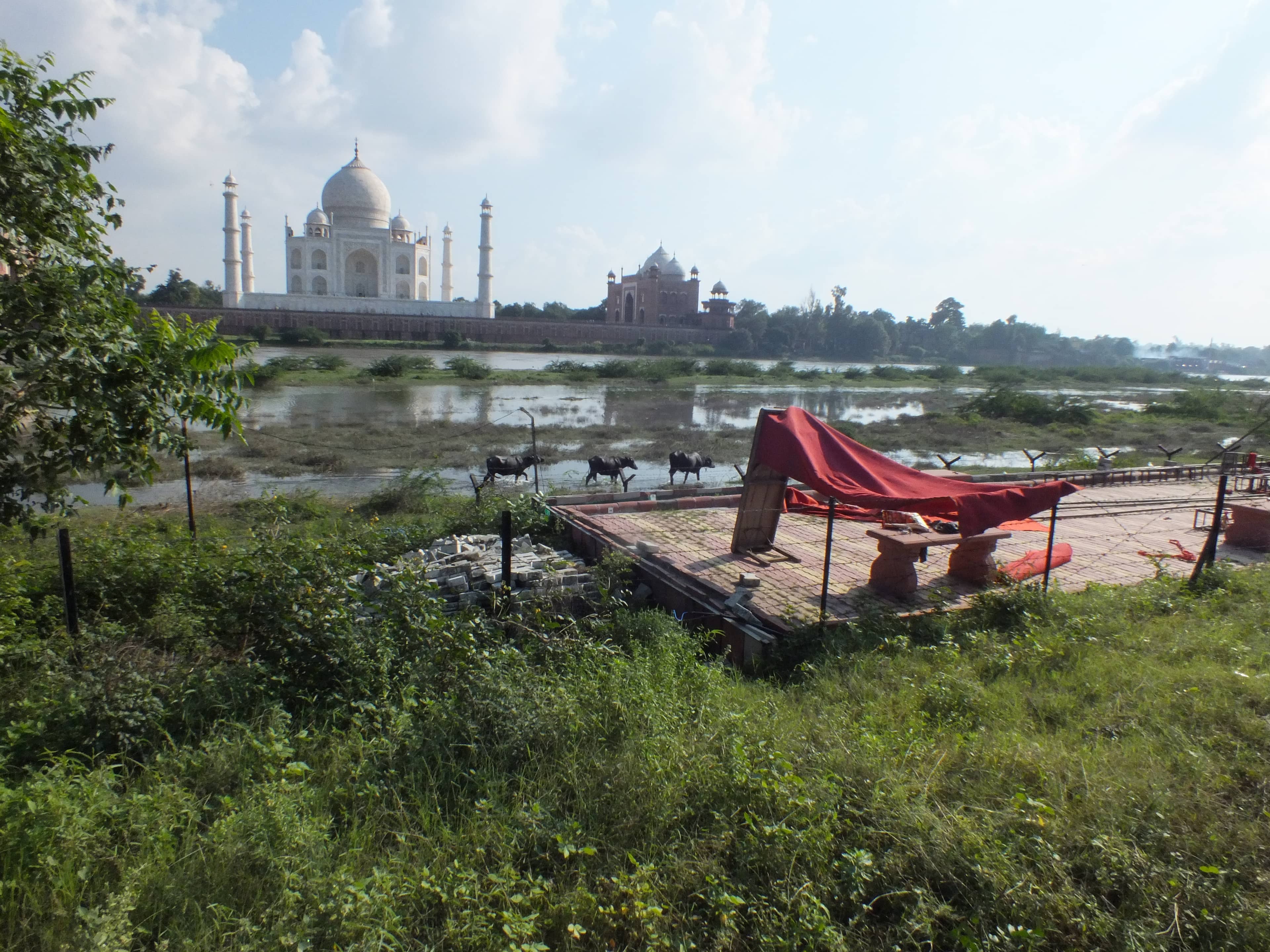 Yamuna River Views