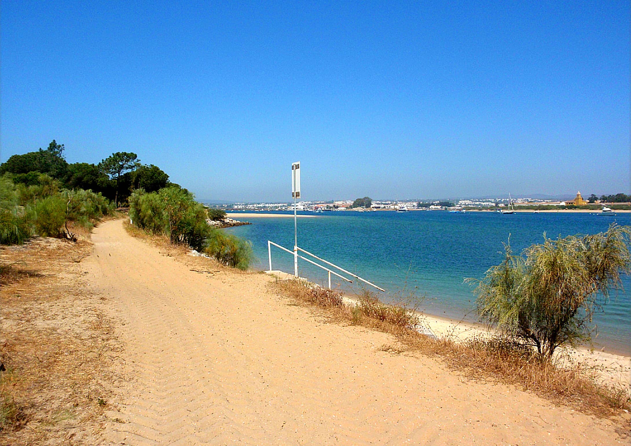 Tranquil Beach Strolls
