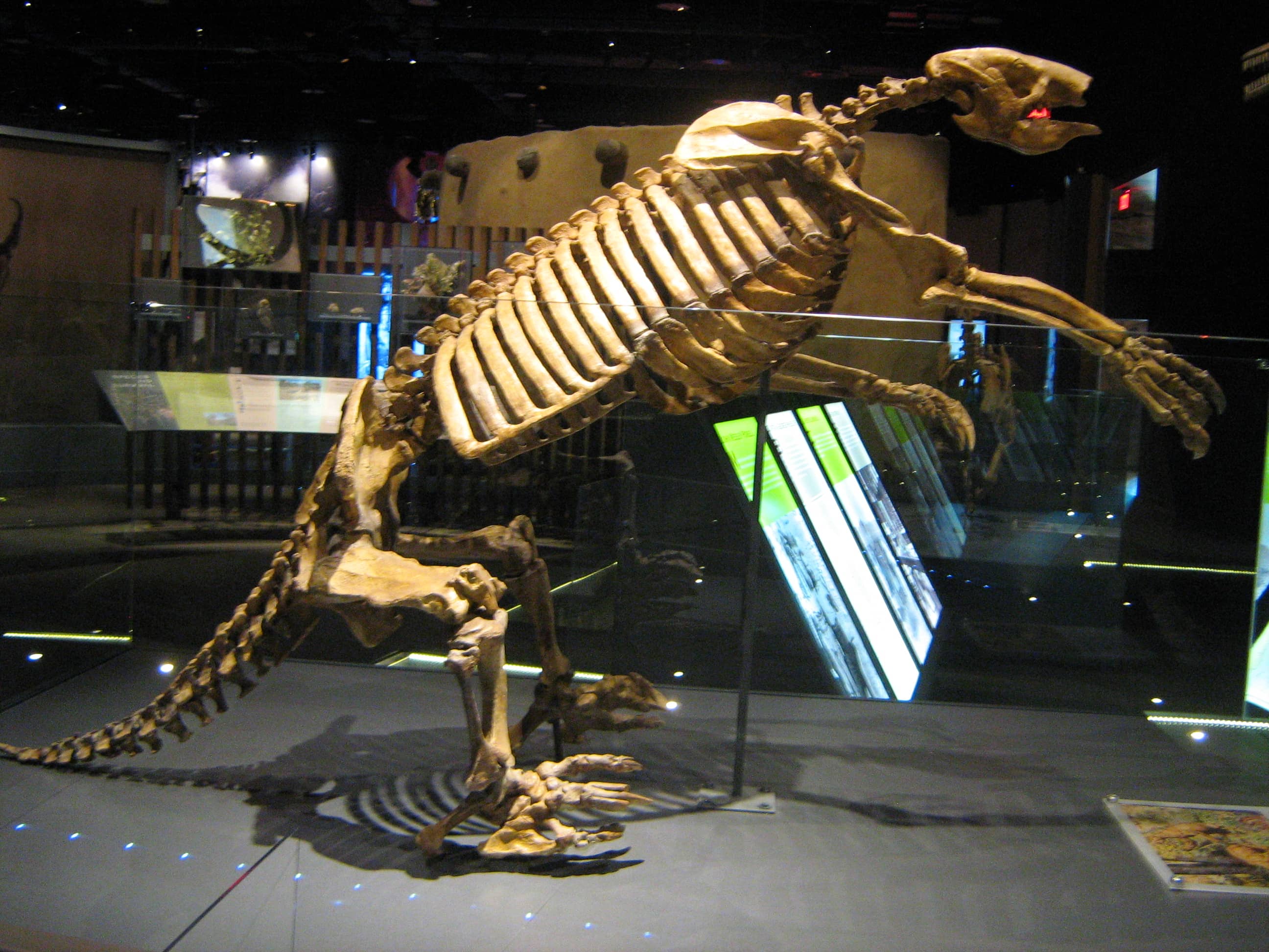 Museums & Exhibits