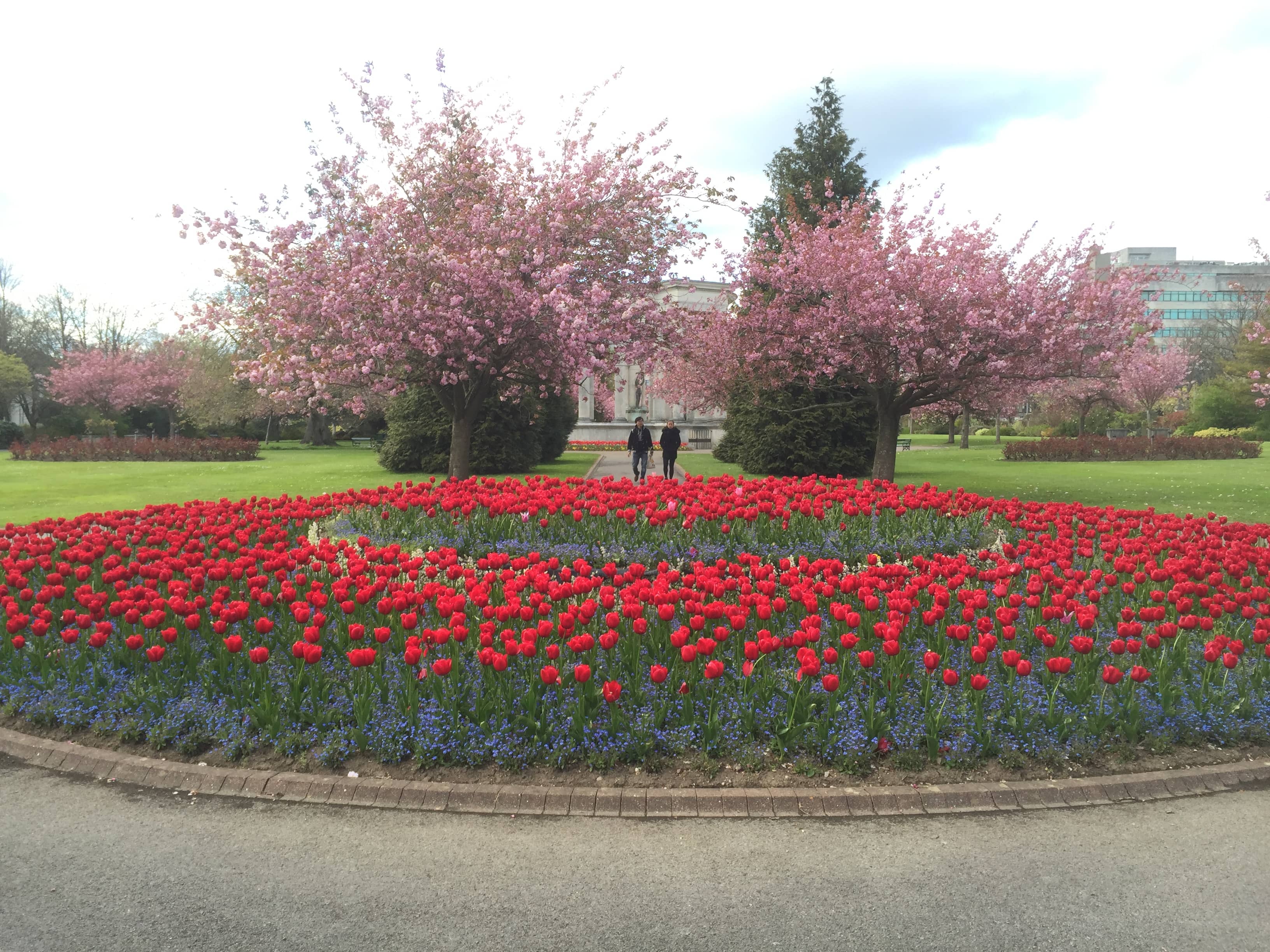 Changing Flower Beds