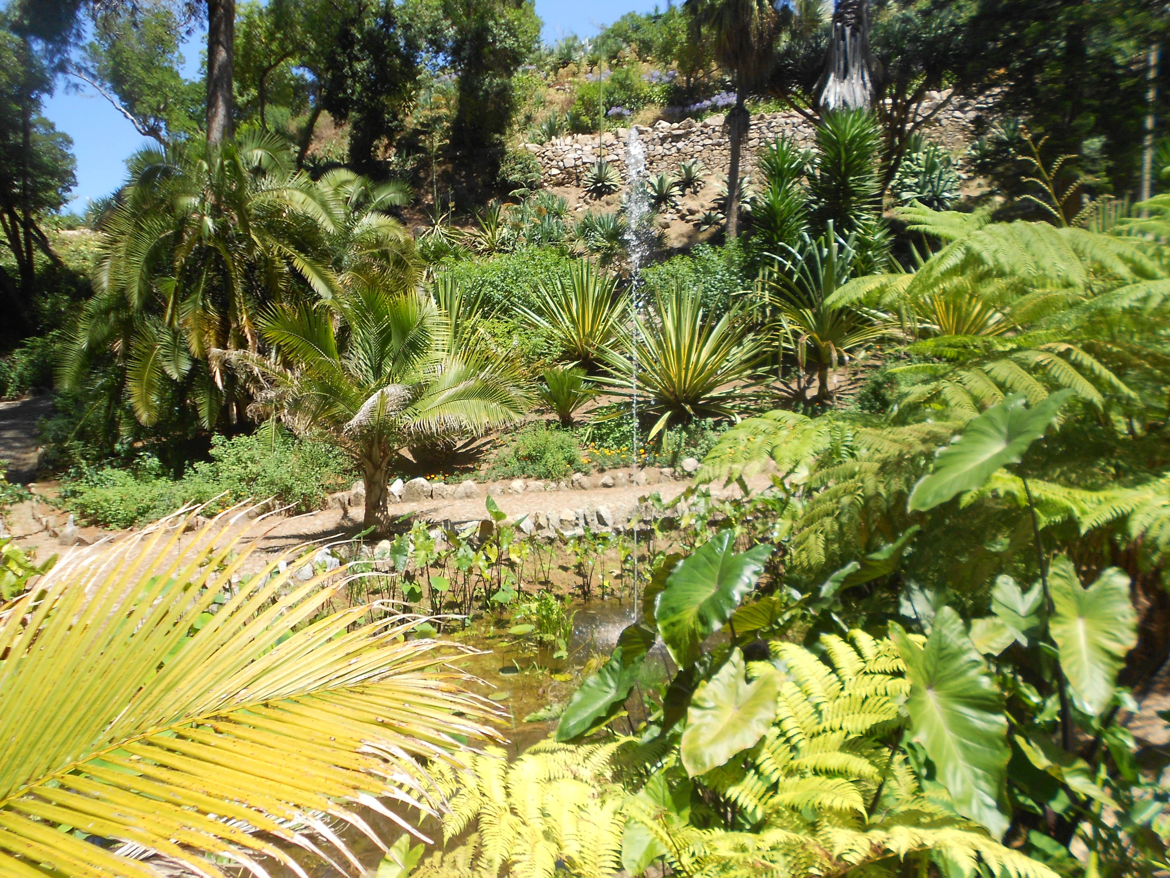 Monserrate Palace's Exotic Beauty