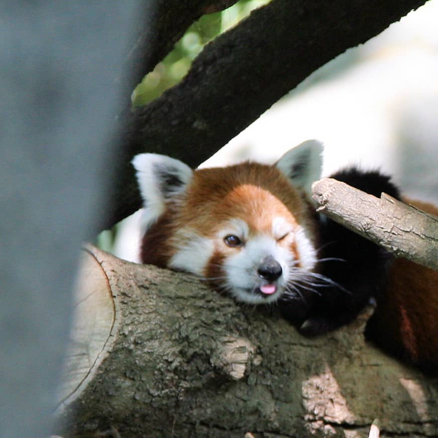 Sacramento Zoo