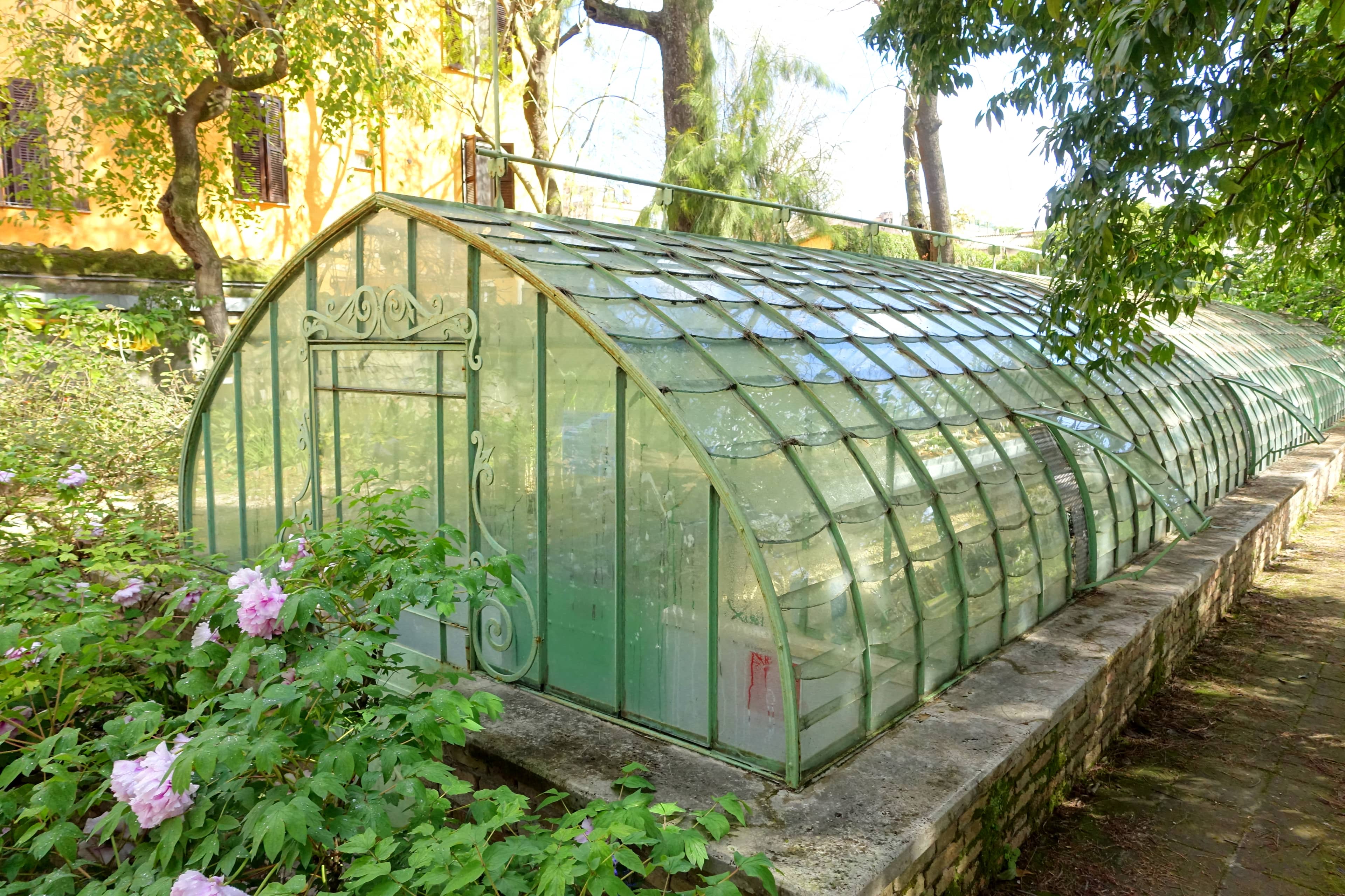 Greenhouse Collections