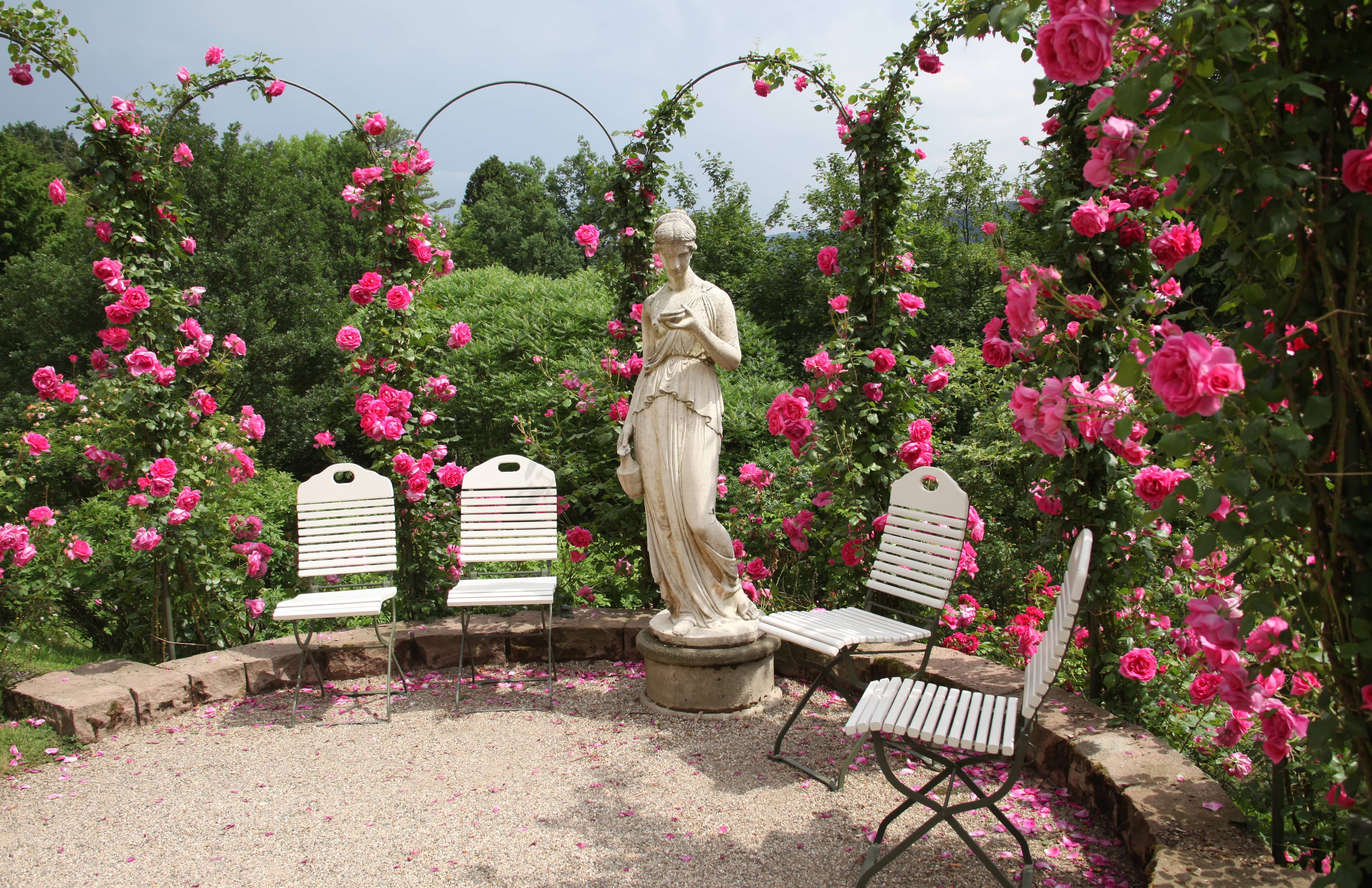Baden-Baden Rose Garden