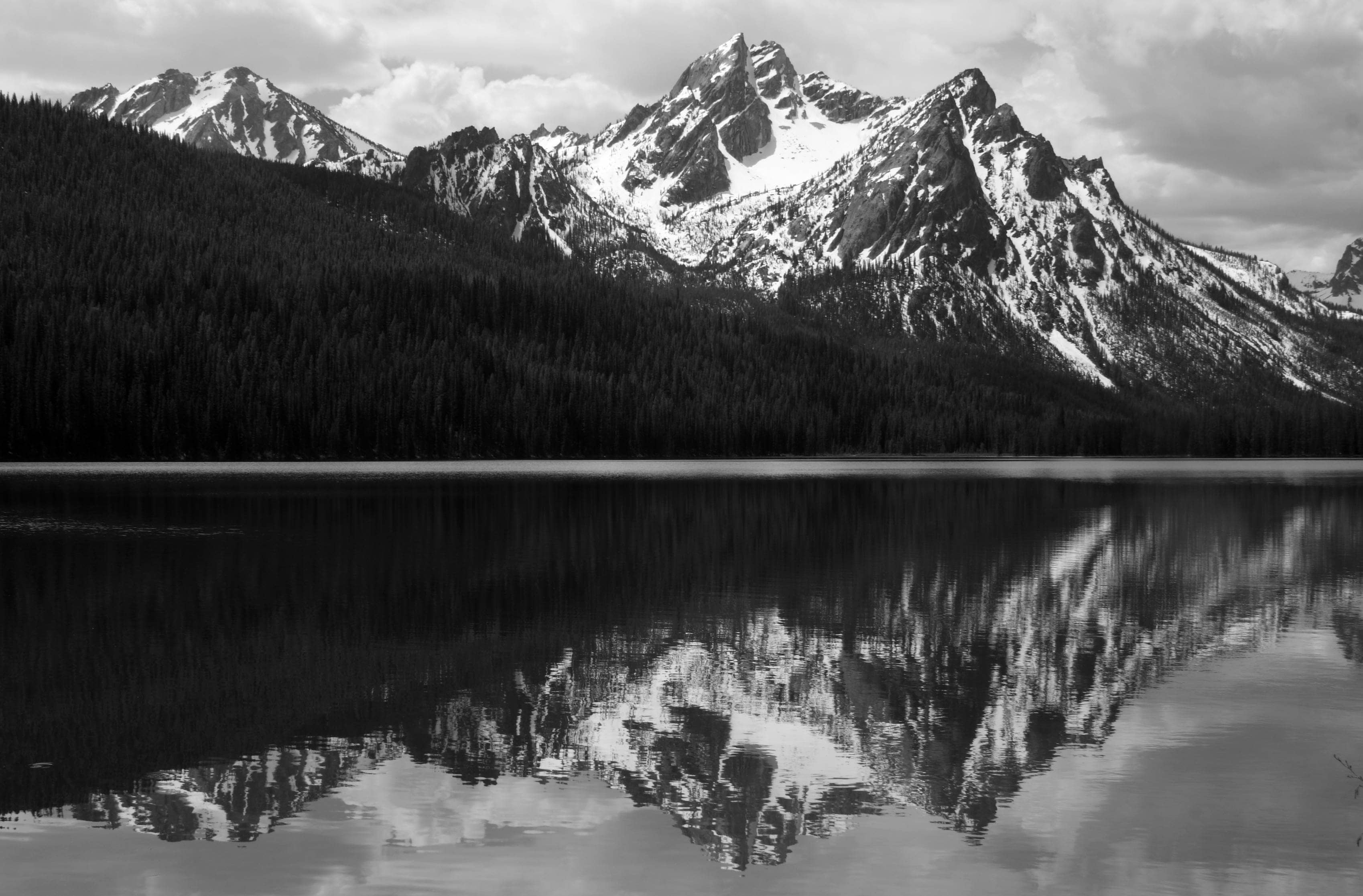 Ansel Adams Archive