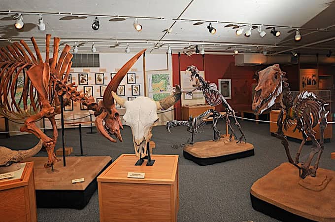 Interactive Exhibits