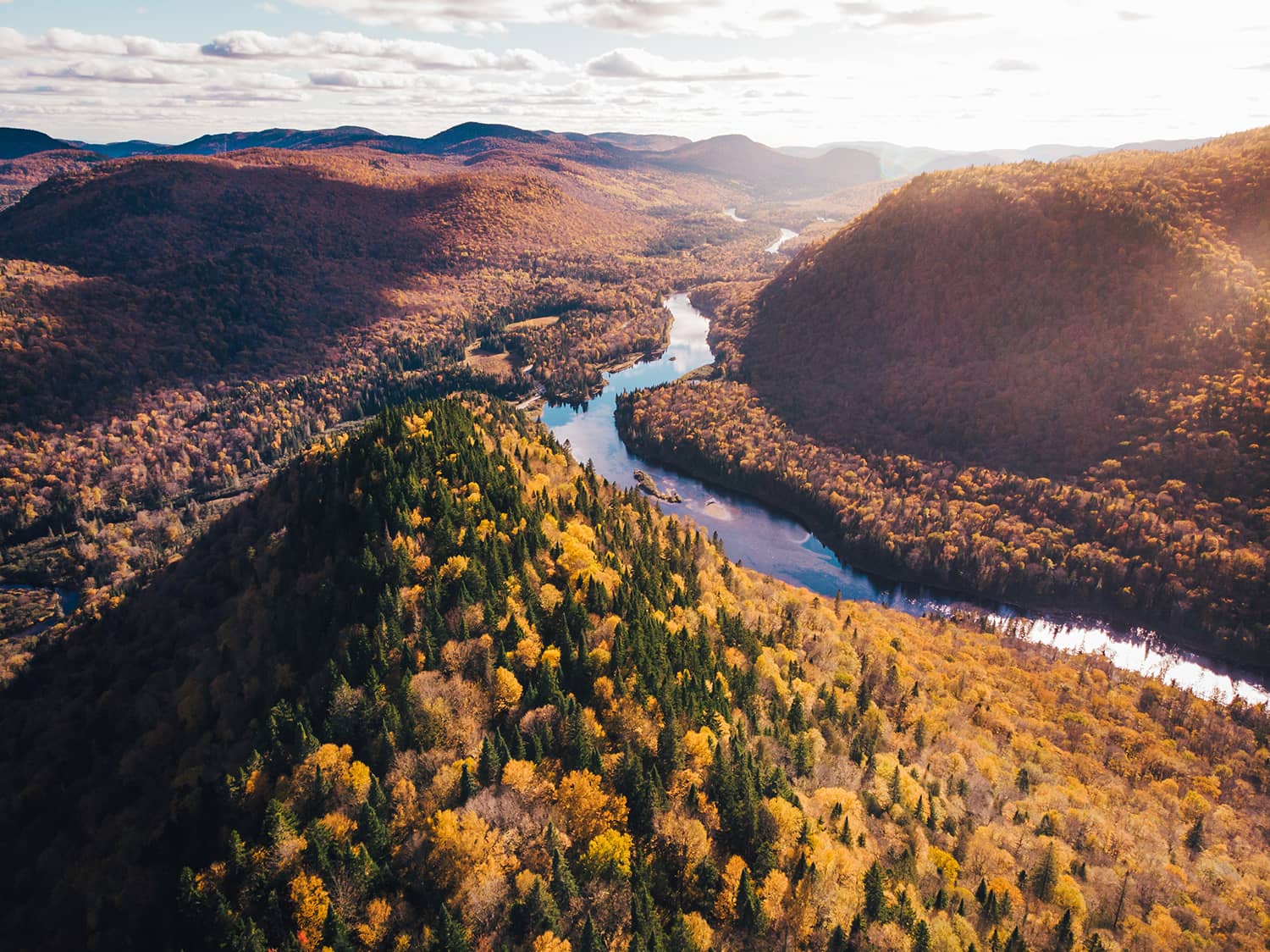Fall Foliage