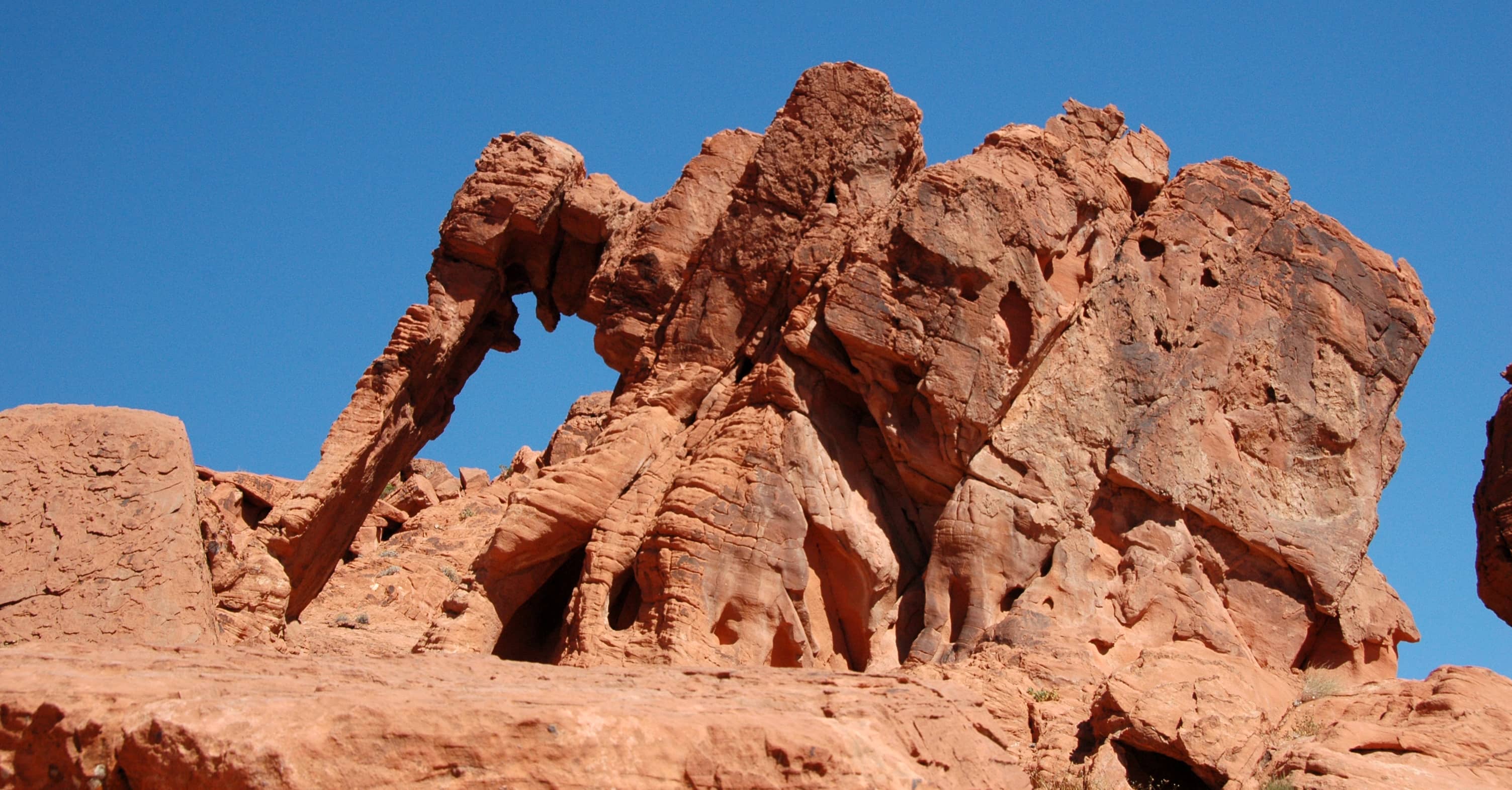 Elephant Rock