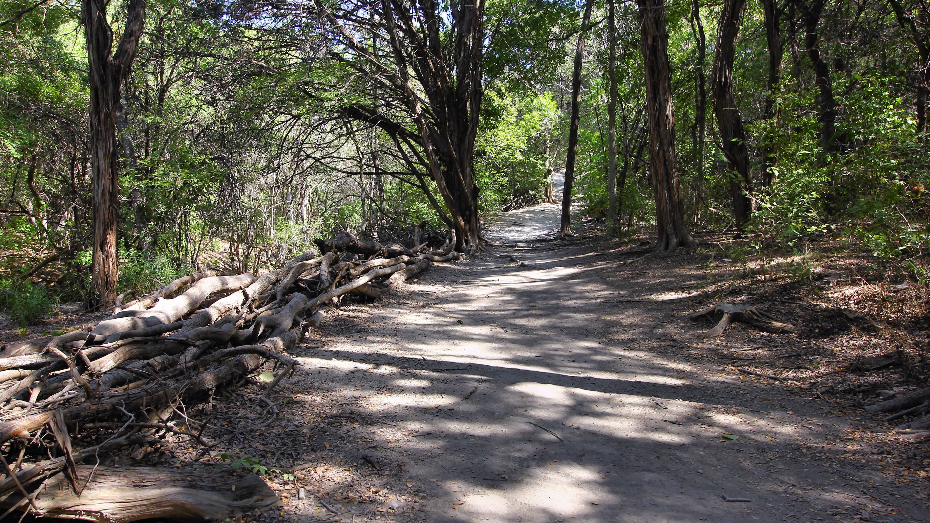 Jungle Trails