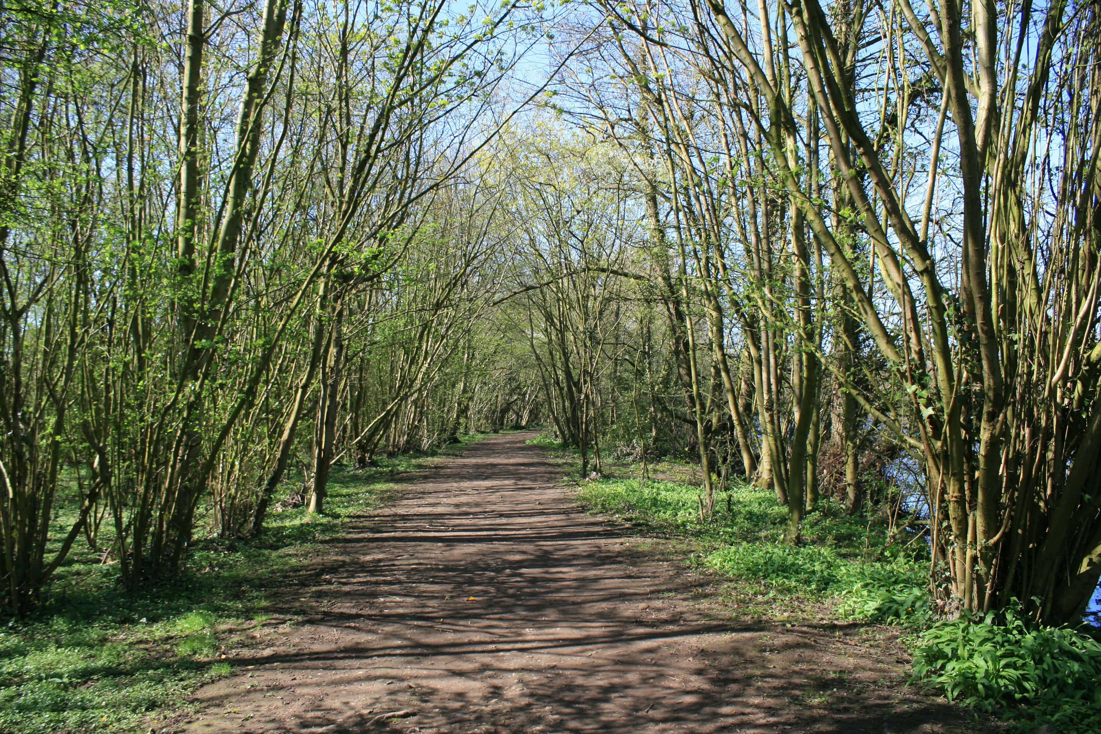 Riverside Stroll