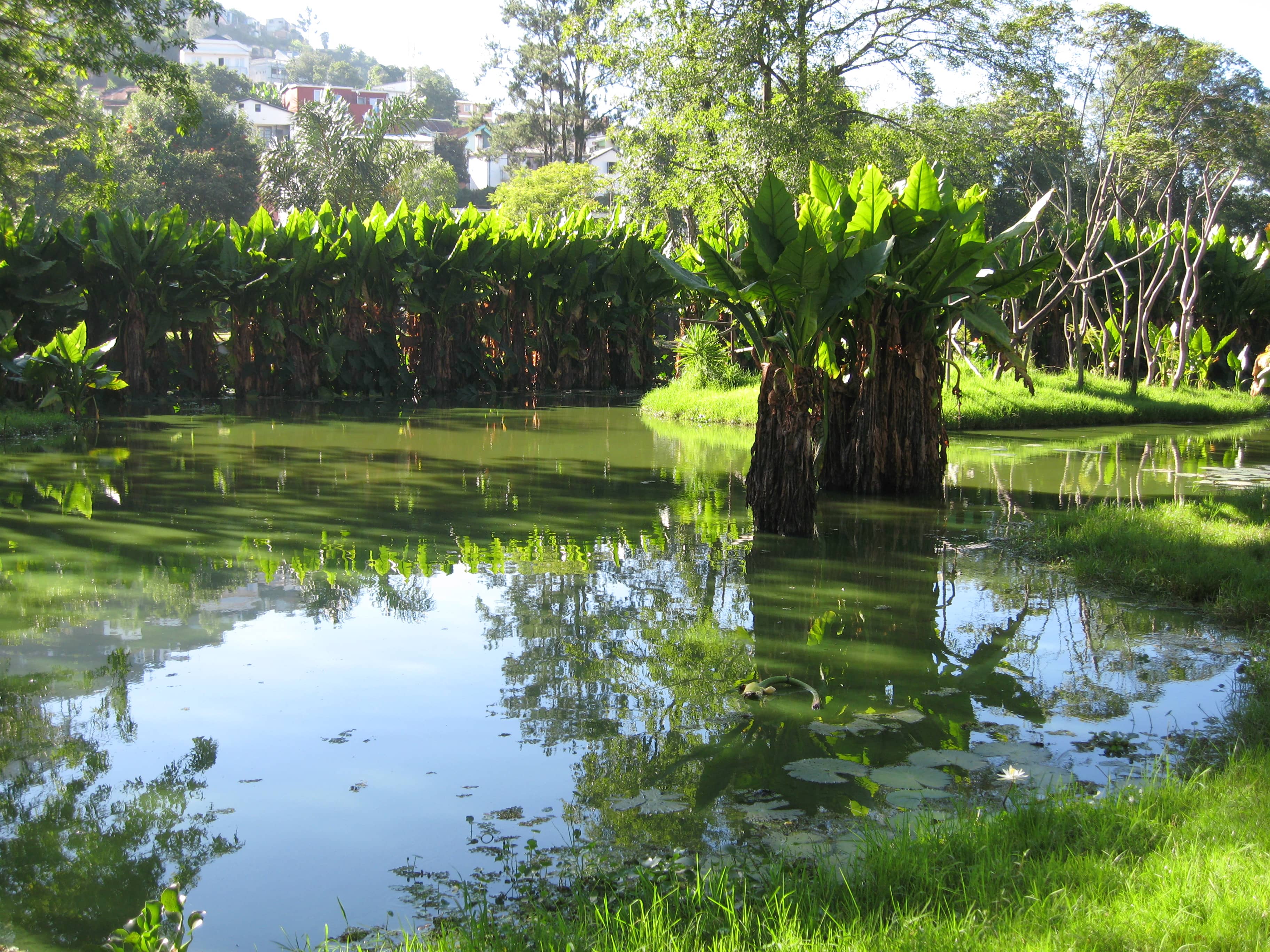 Botanical Garden & Lake
