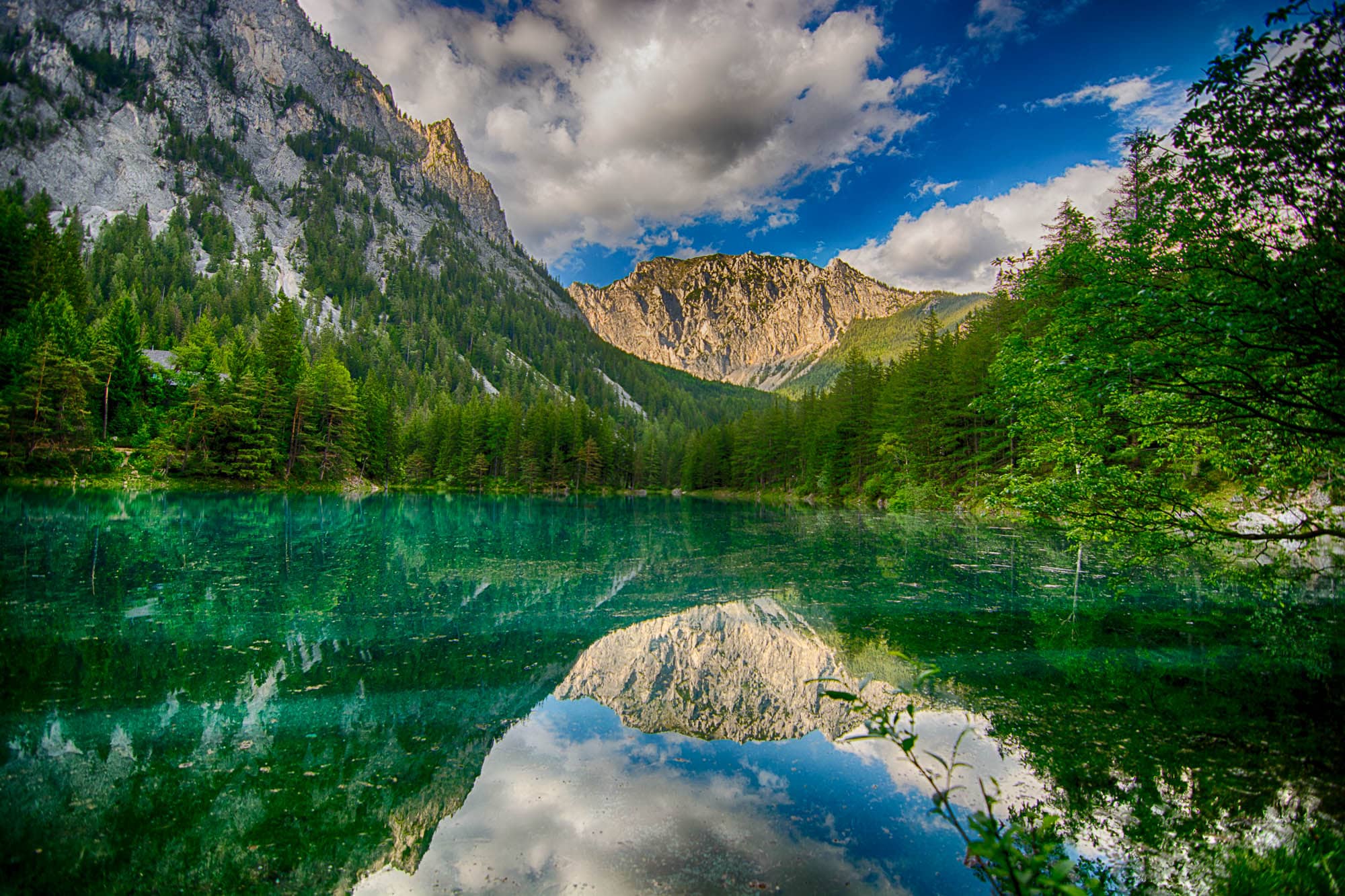 Submerged Trails and Meadows