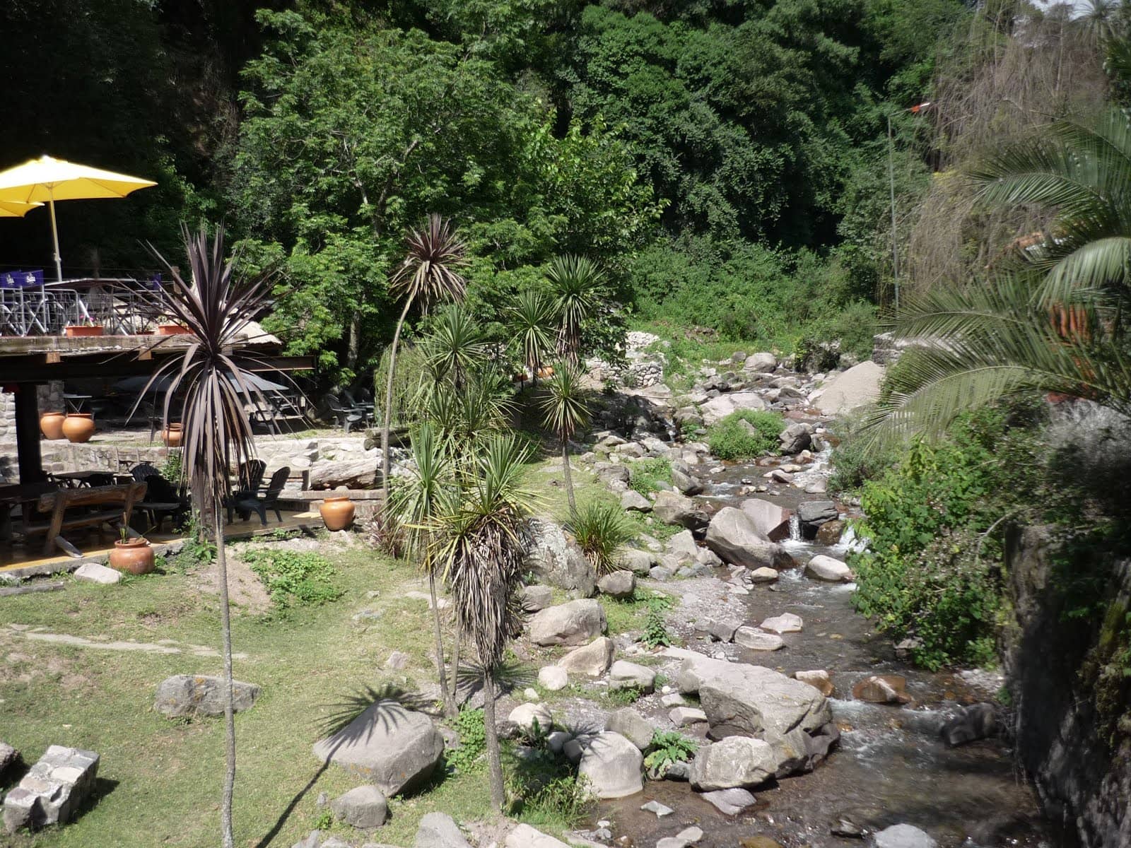 Lush Gardens