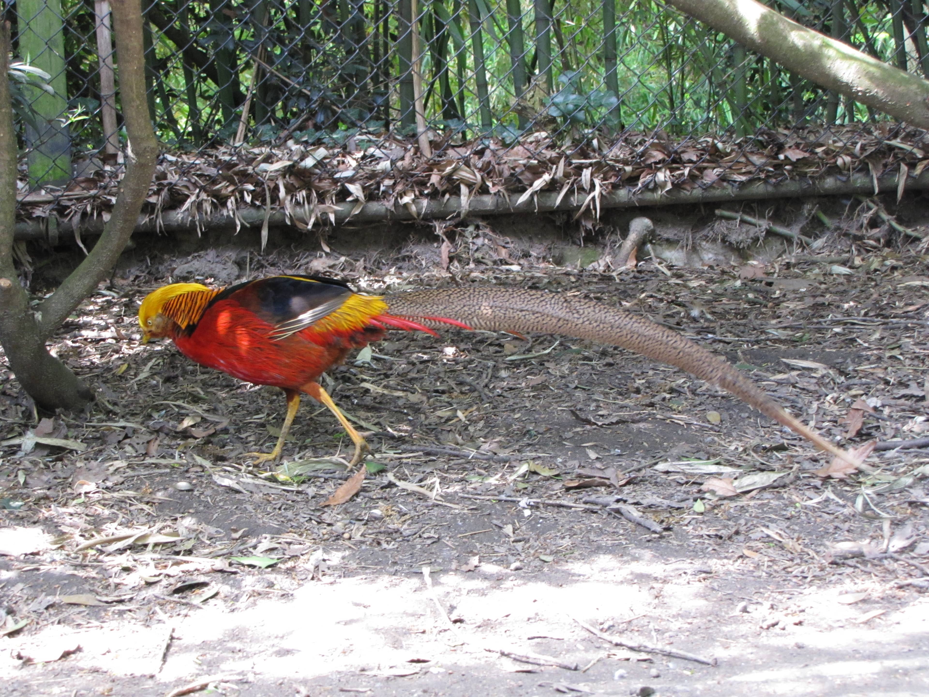 Asian & African Habitats