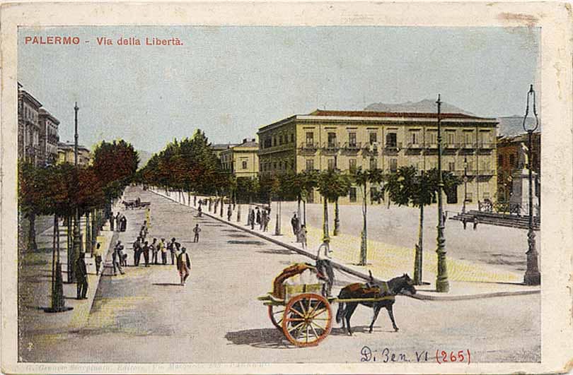 Elegant Architecture