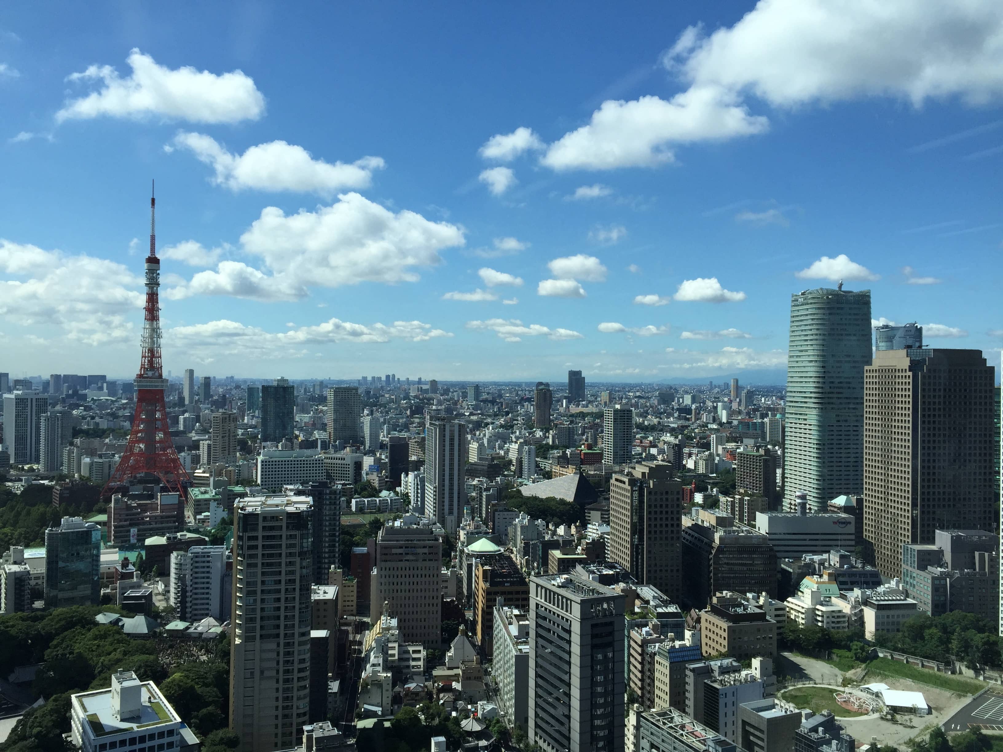 Panoramic City Views