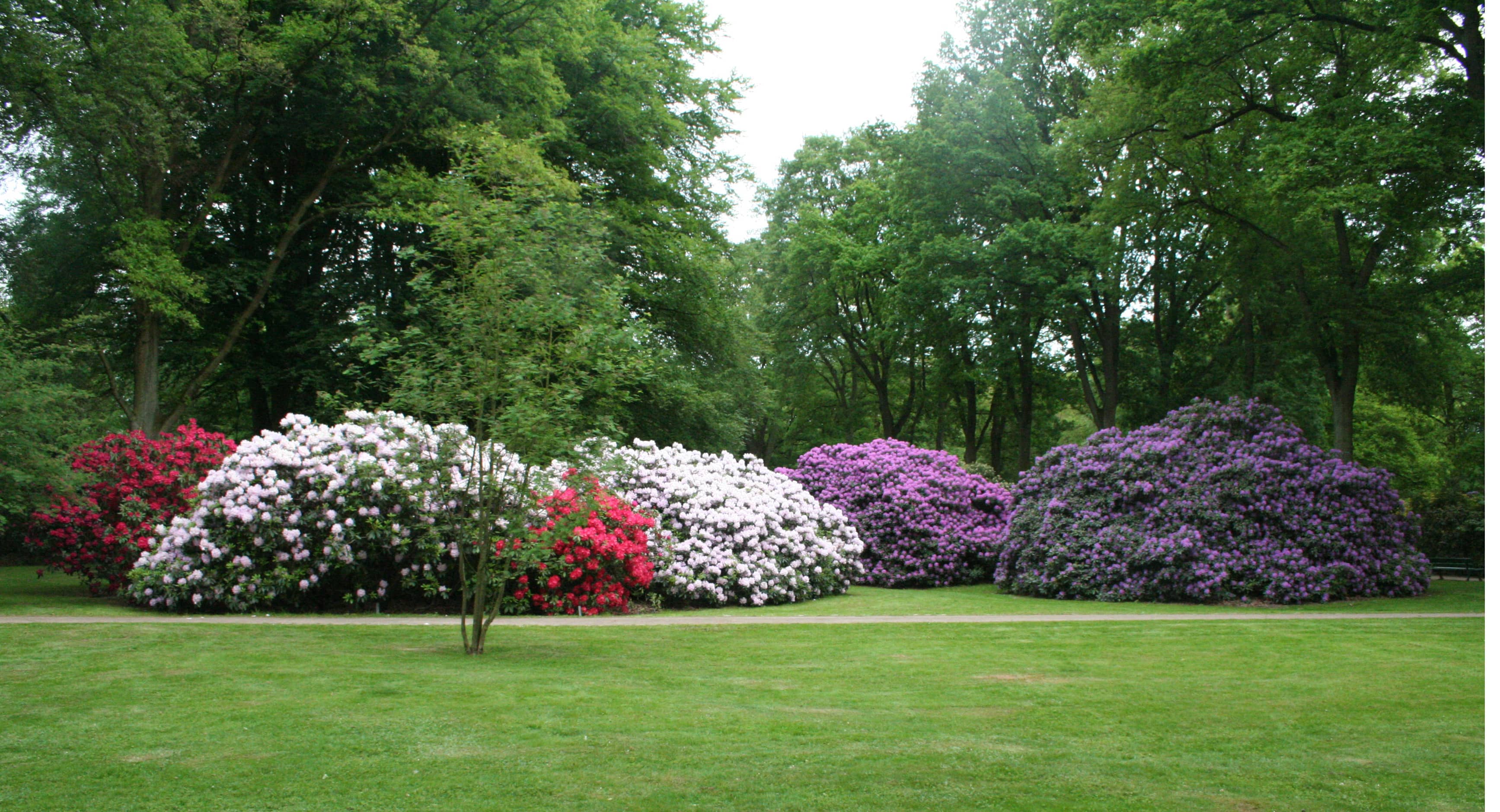 Themed Gardens