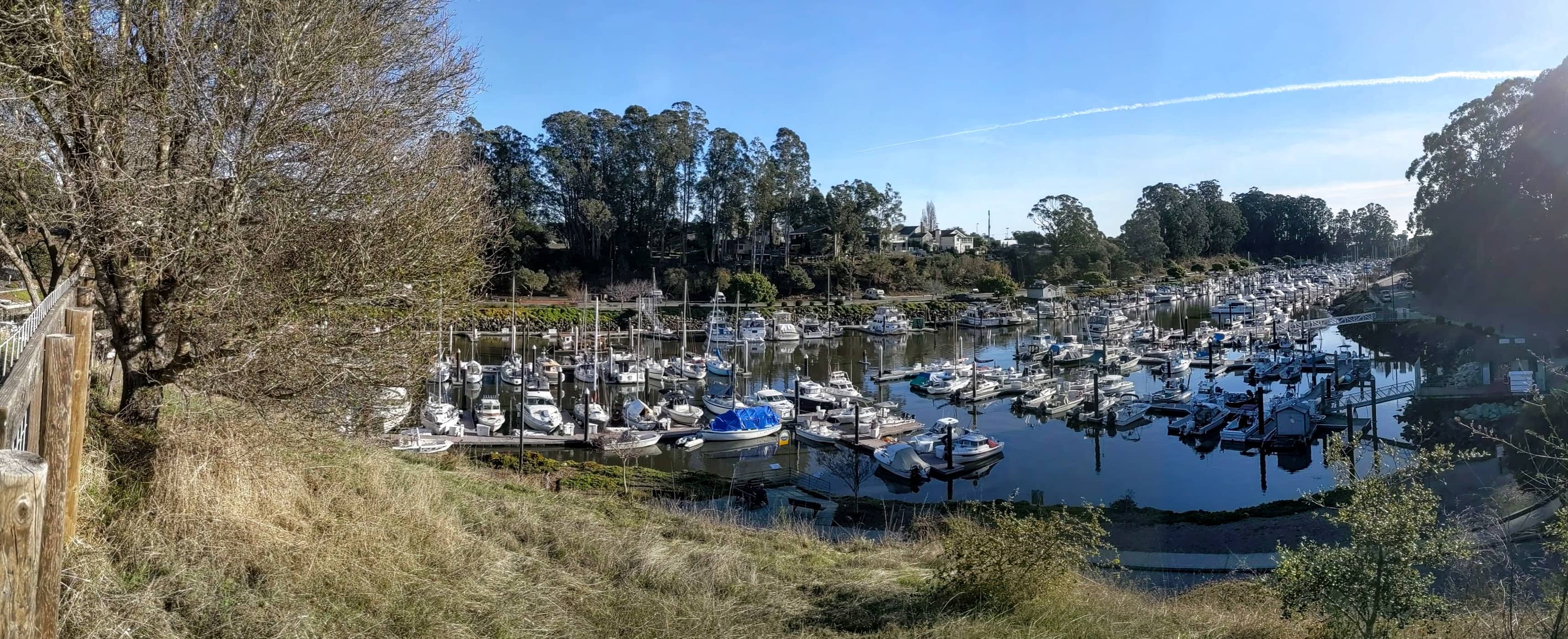 Harbor & Ocean Views