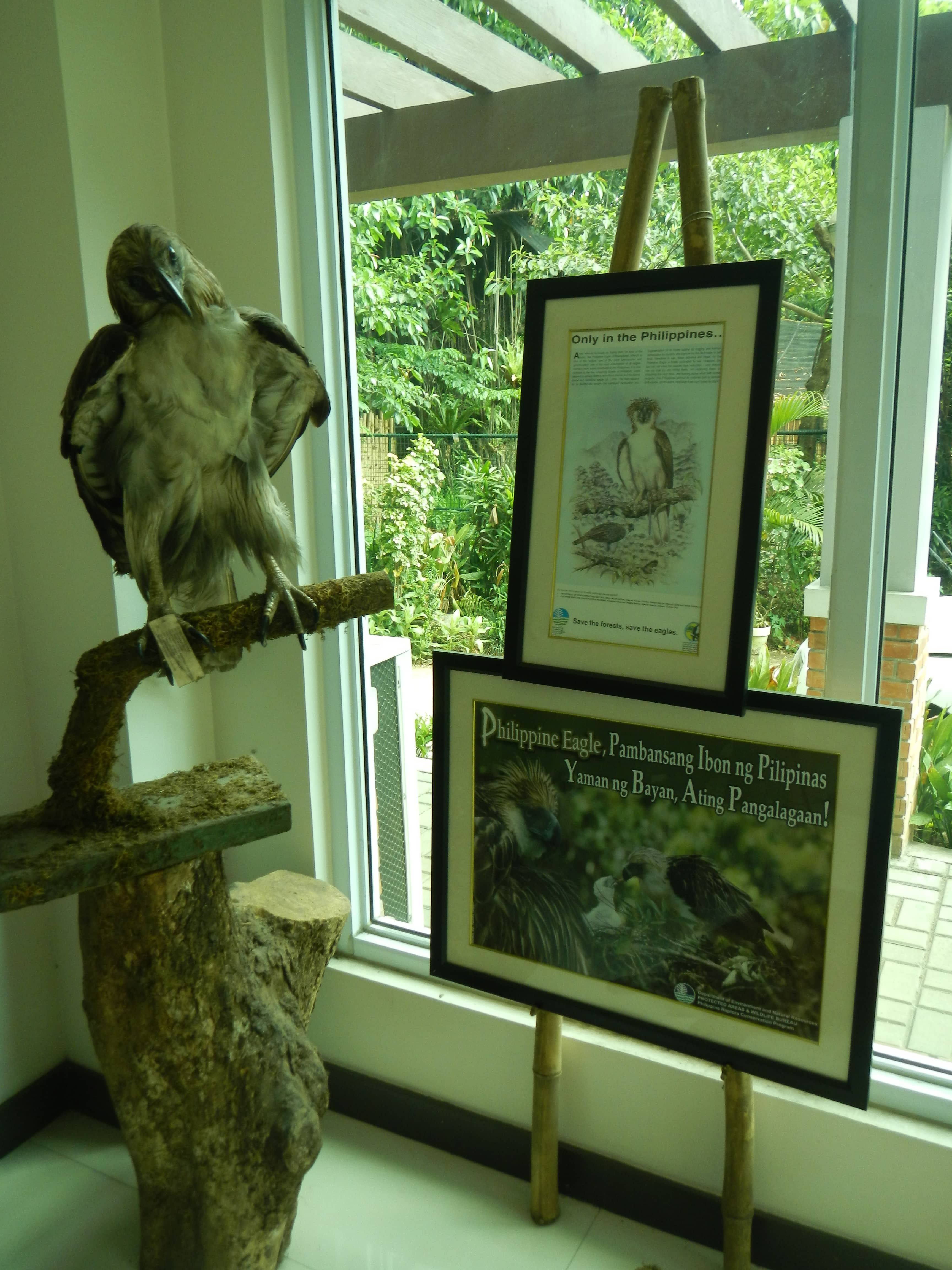 Children's Discovery Area