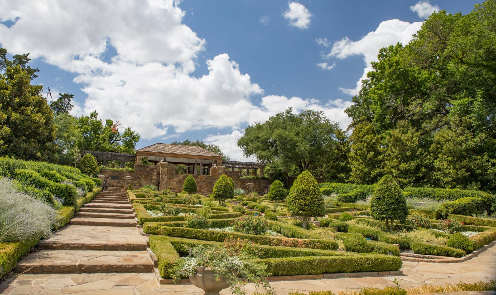Vibrant Rose Garden