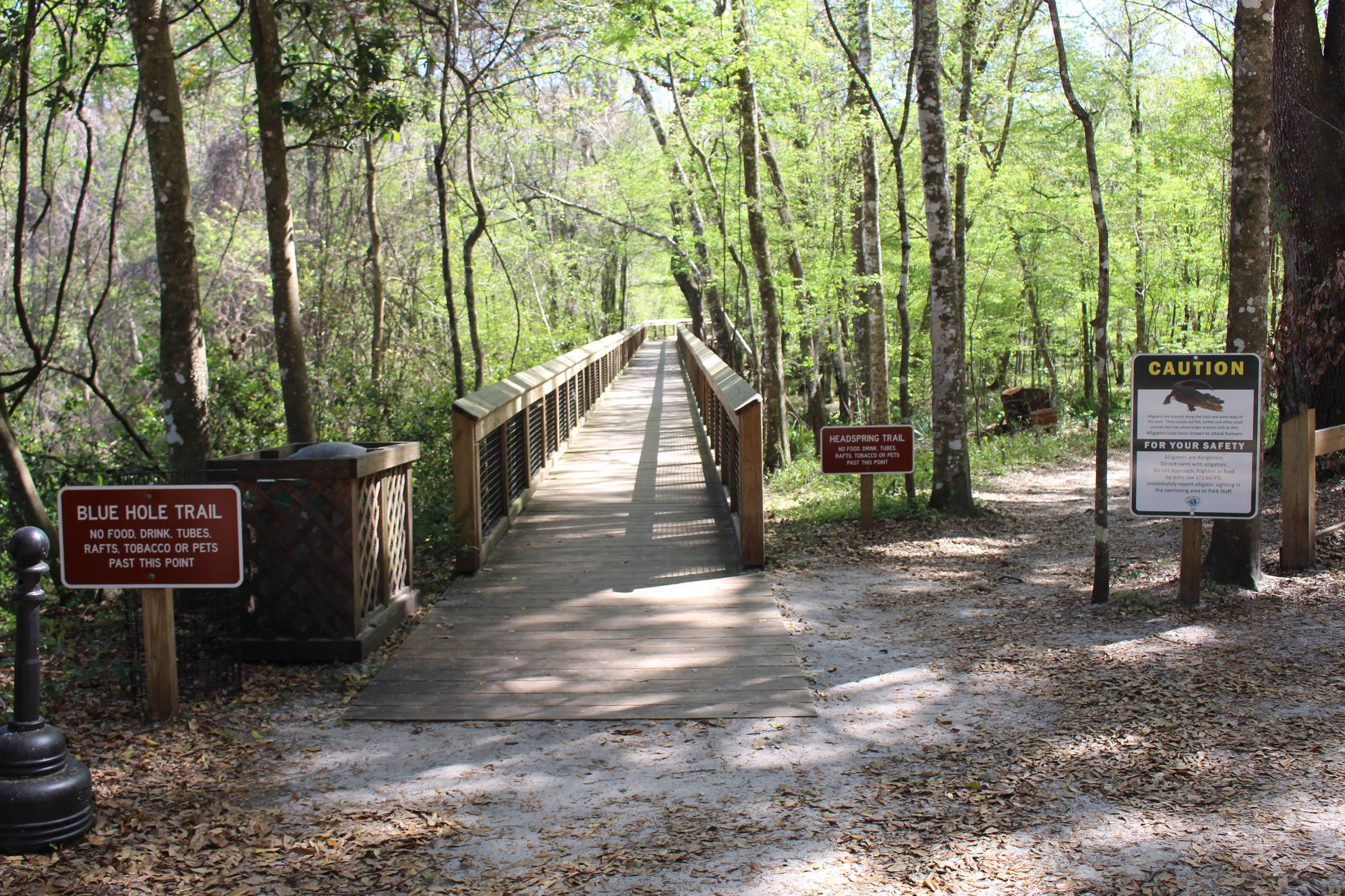 Scenic Hiking Trails