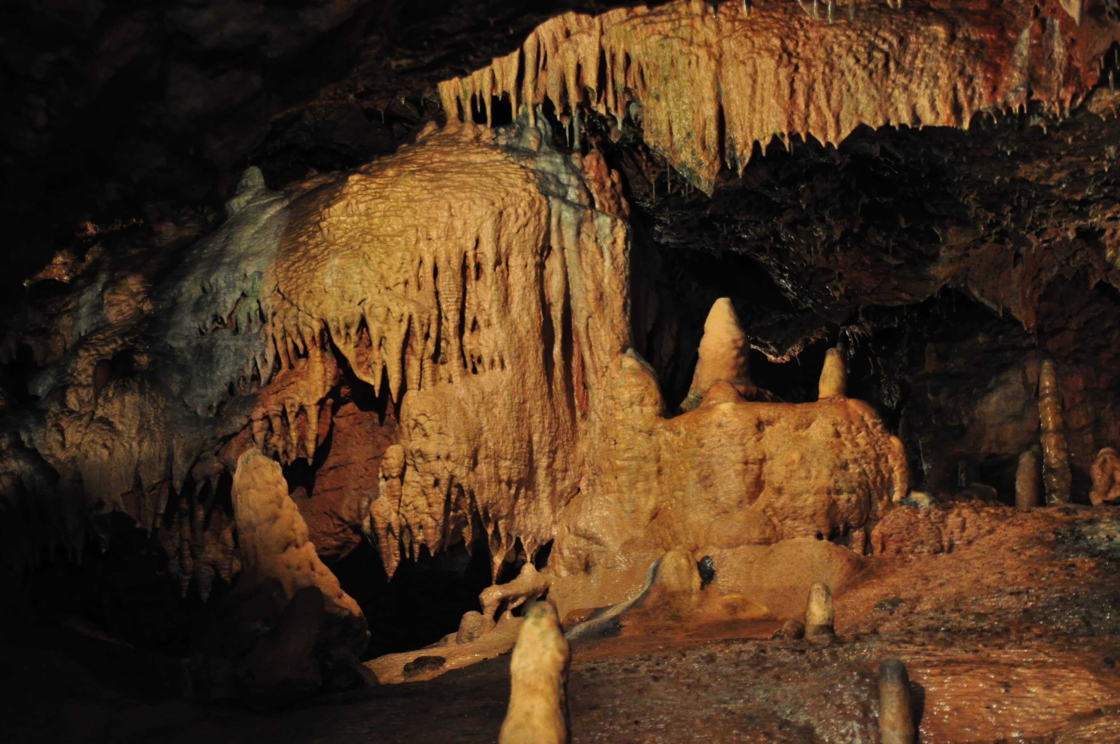 Prehistoric History